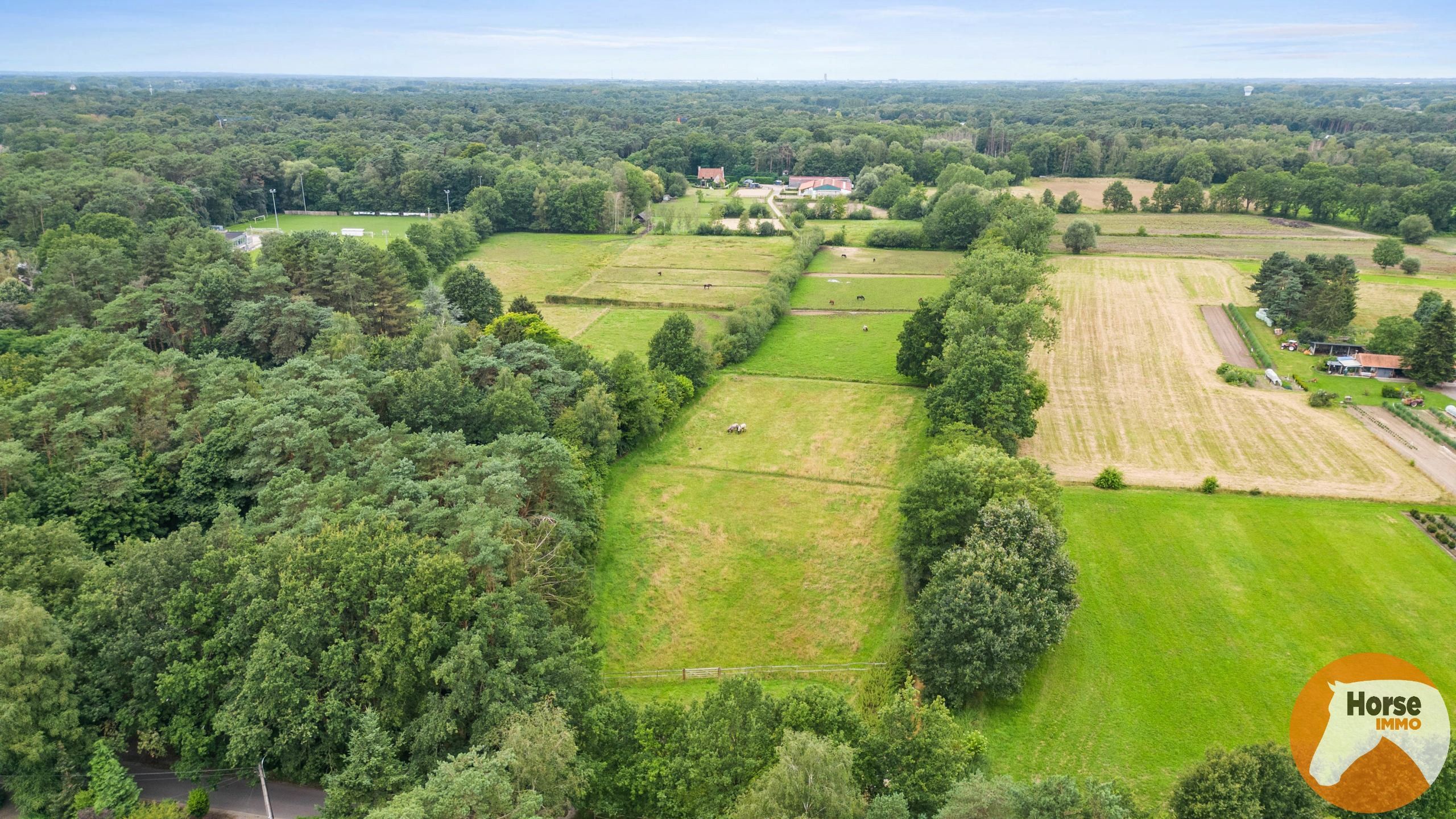 BONHEIDEN- Unieke paardenaccommodatie, landelijke woning 8HA foto 1