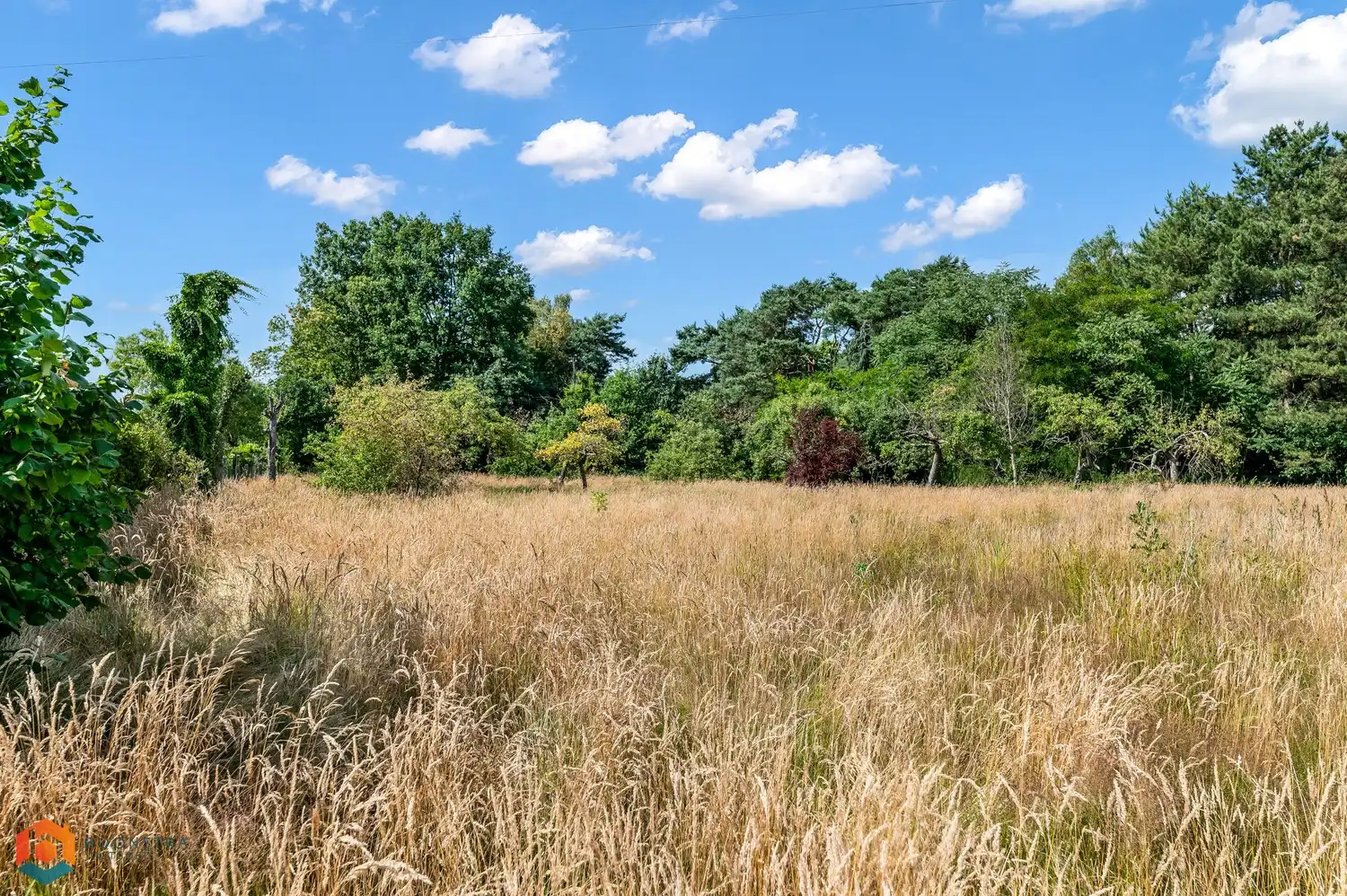 Bouwgrond van 1070 m² voor open bebouwing te Tessenderlo-Ham foto 2