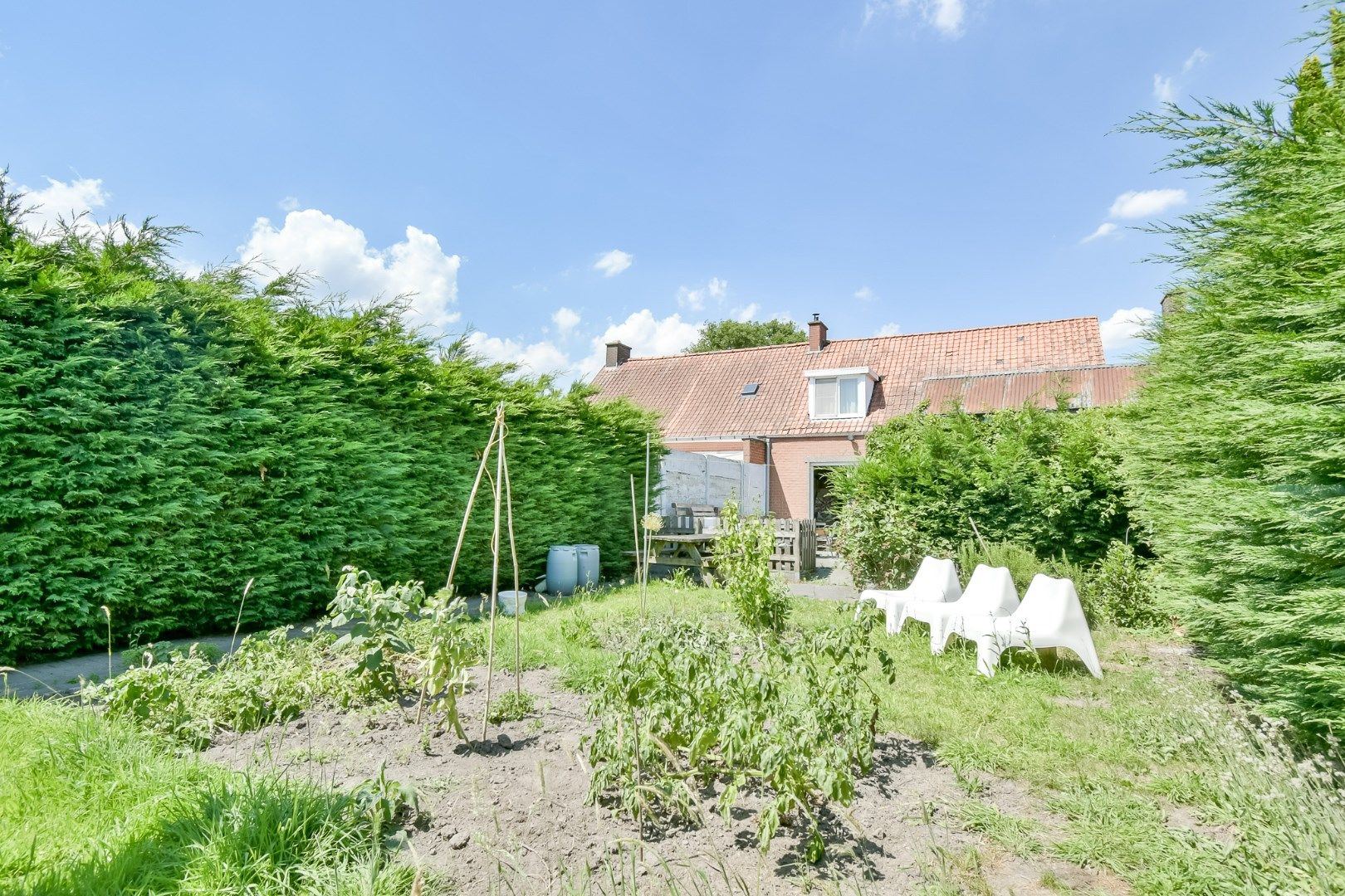 KIJKDAG zaterdag 26 juli van 14u tot 16u, op afspraak! foto 13