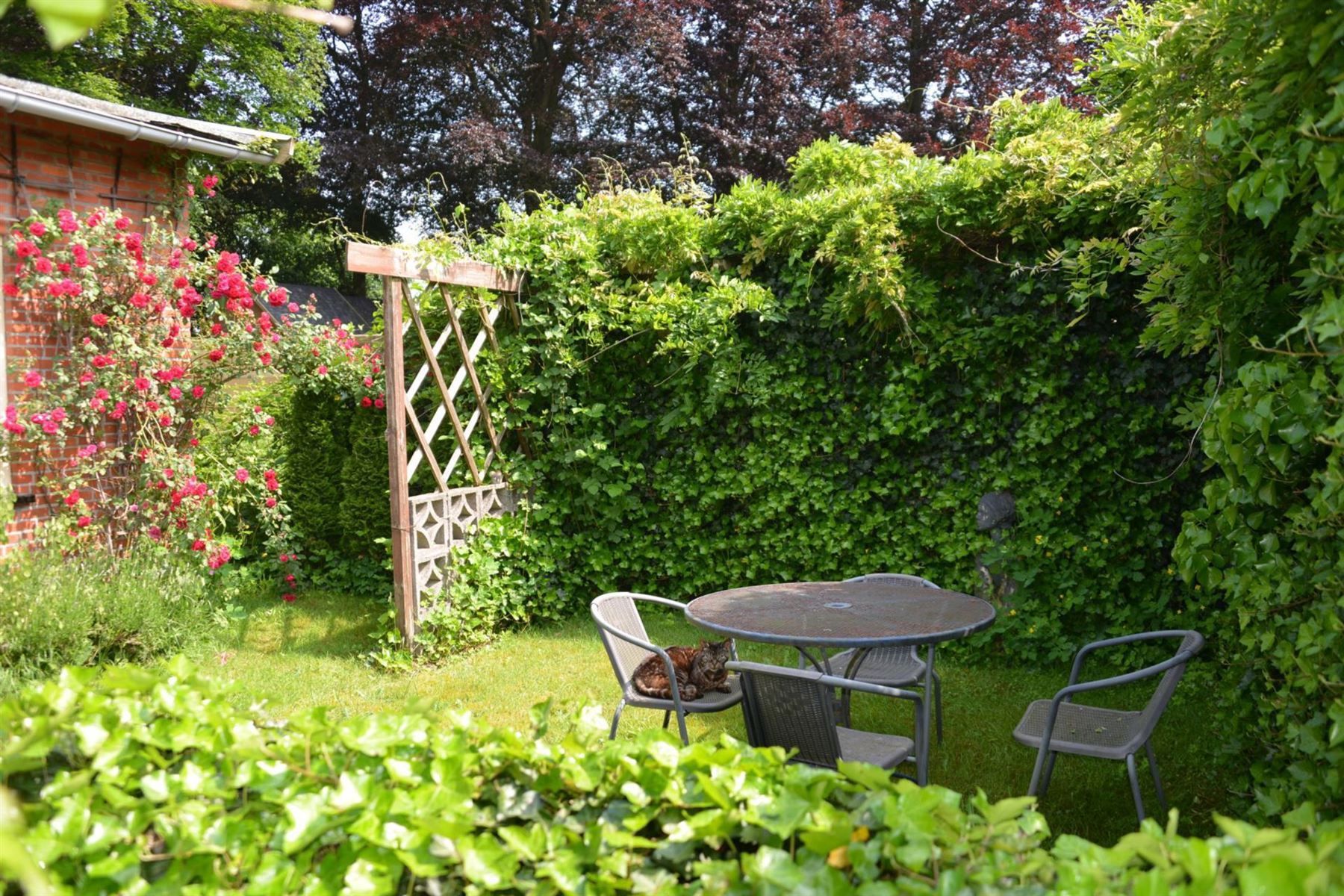 Woning foto 2