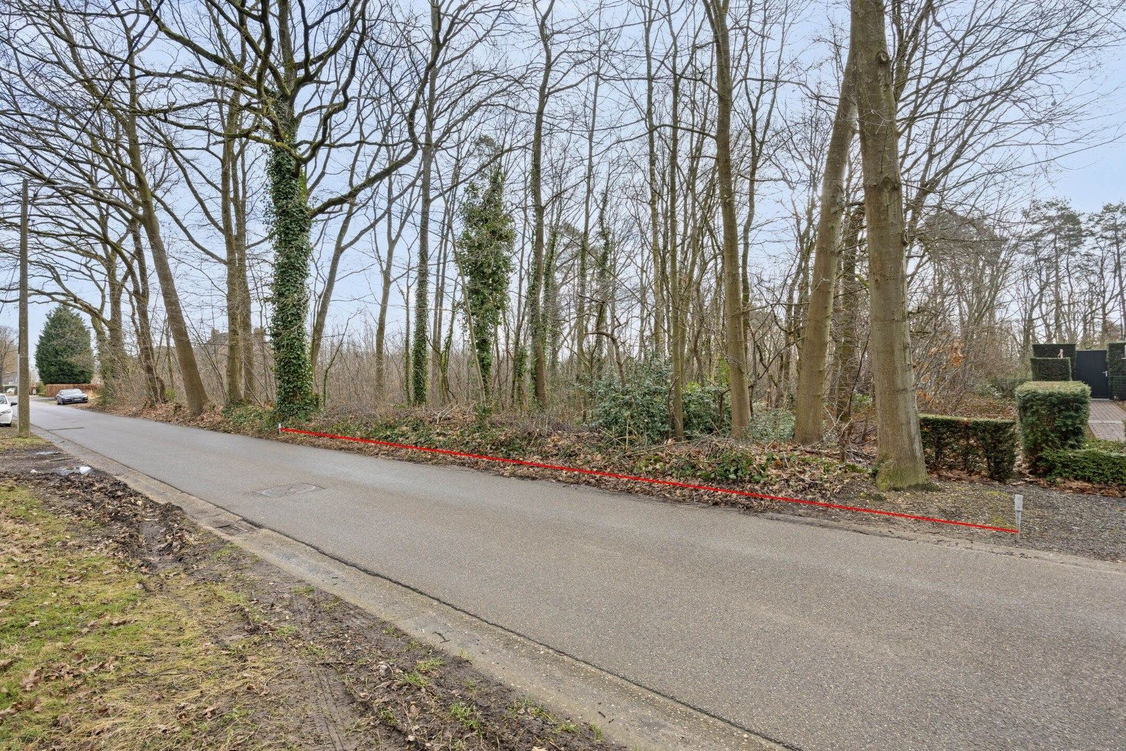 2 BOUWGRONDEN VOOR OPEN BEBOUWING EN ACHTERLIGGENDE GRONDEN in de bosrijke villabuurt op de Bosstraat te Lanaken!  foto 3