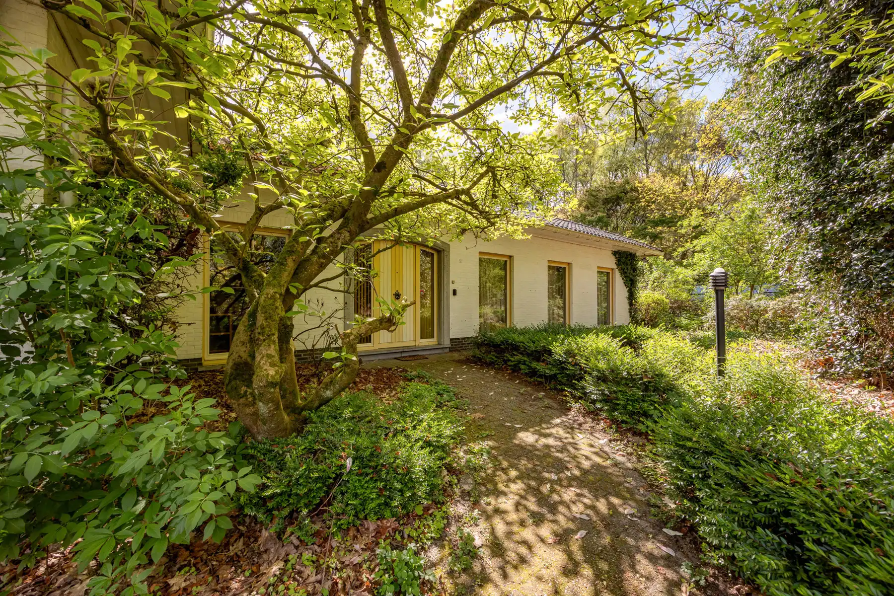 Ruime te renoveren  gelijkvloerse villa met vrij uitzicht foto 6