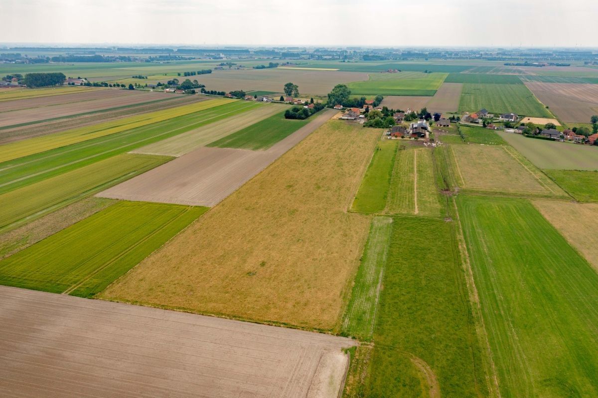 Hoeve op 5 ha te koop te Sint-Laureins foto 15