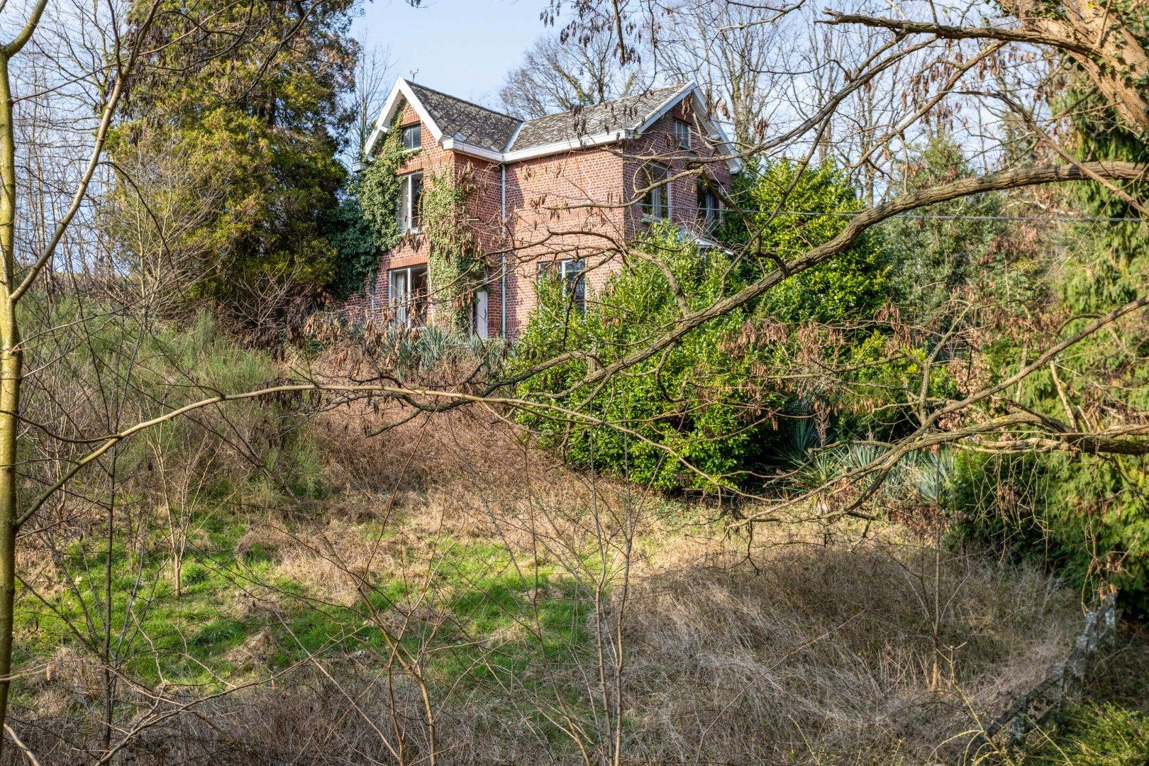 Uniek project: te renoveren woning op een perceel van bijna 1 hectare in Kessel-Lo. foto 2