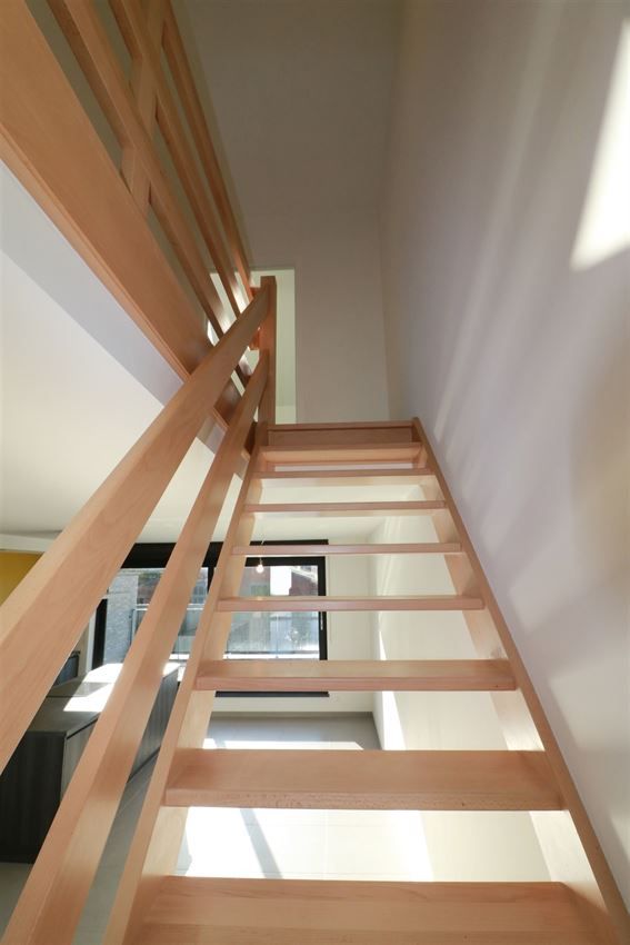 duplex met 2 grote slpk., zuidgericht terras, 2 parkings nabij centrum  foto 19