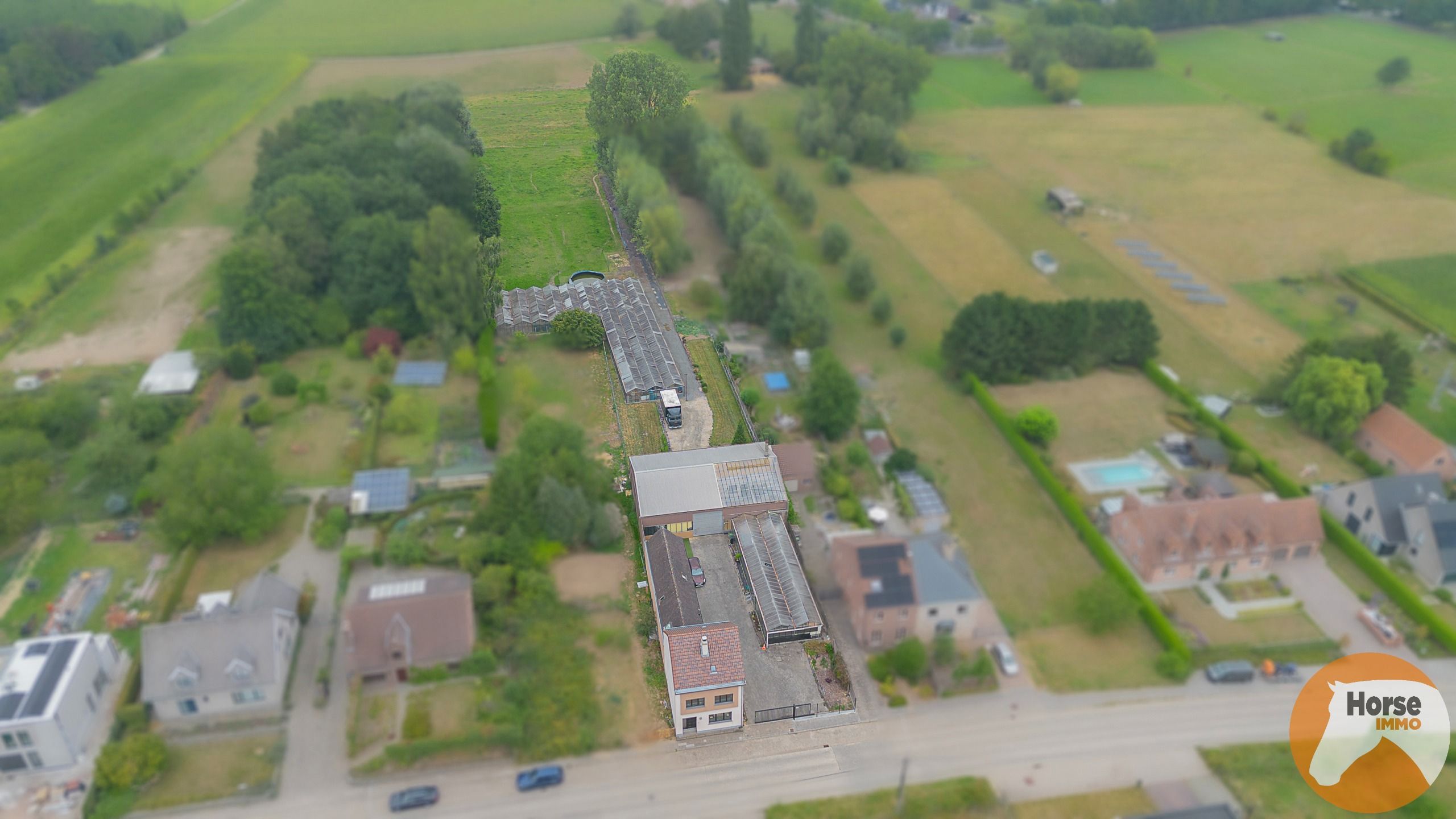 ERPE-MERE - Goed onderhouden woning met magazijn en serres foto 33