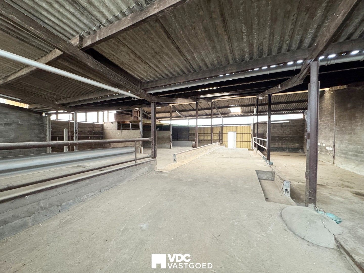 Voormalige boerderij met loods en veestal op perceel van 6.920 m² – volledig te renoveren foto 8