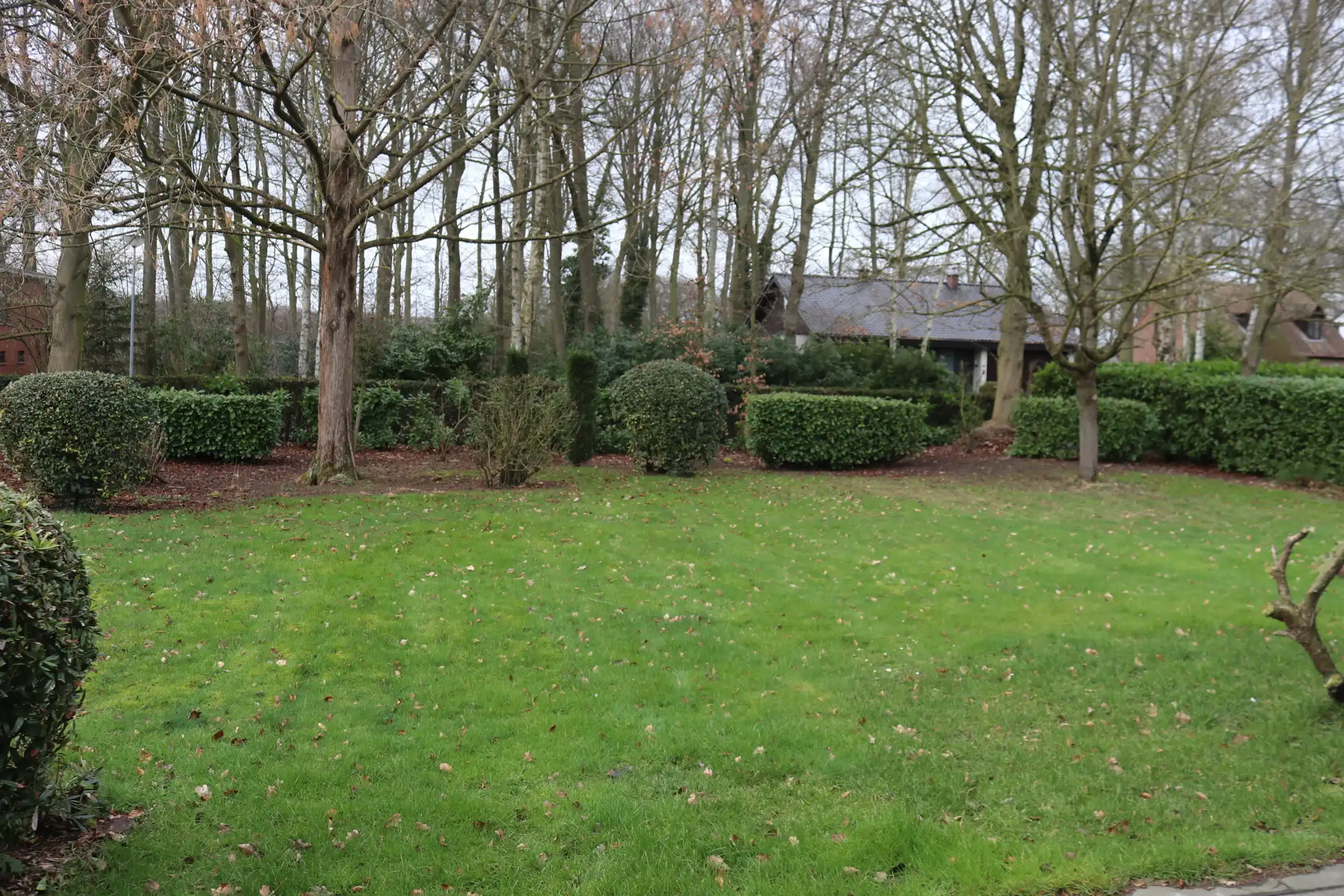 Ruime gezinswoning met tuin en garage nabij N16 en A12  foto 3