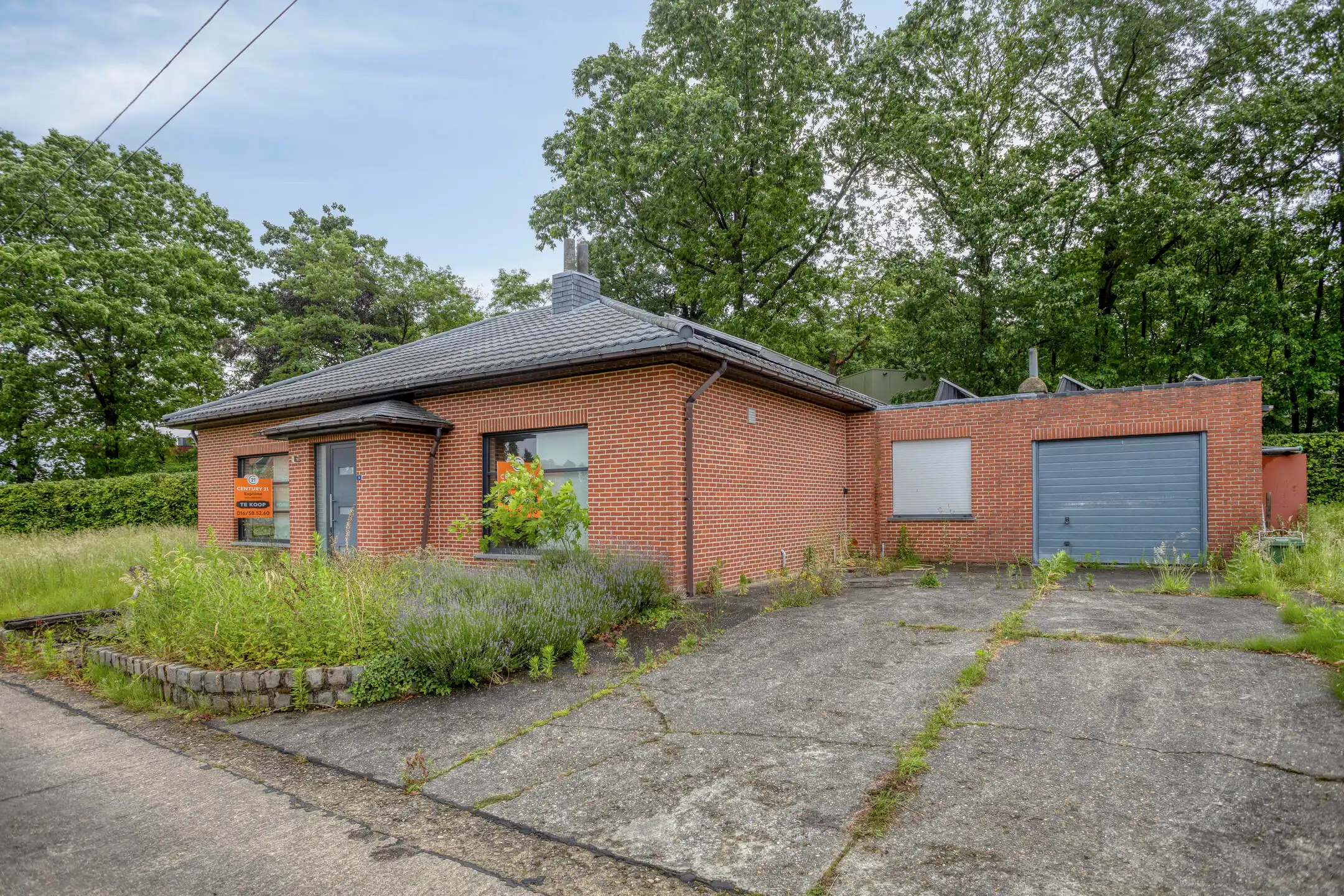 Hoofdfoto van de publicatie: Gelijkvloerse woning met 2 slaapkamers in doodlopende straat