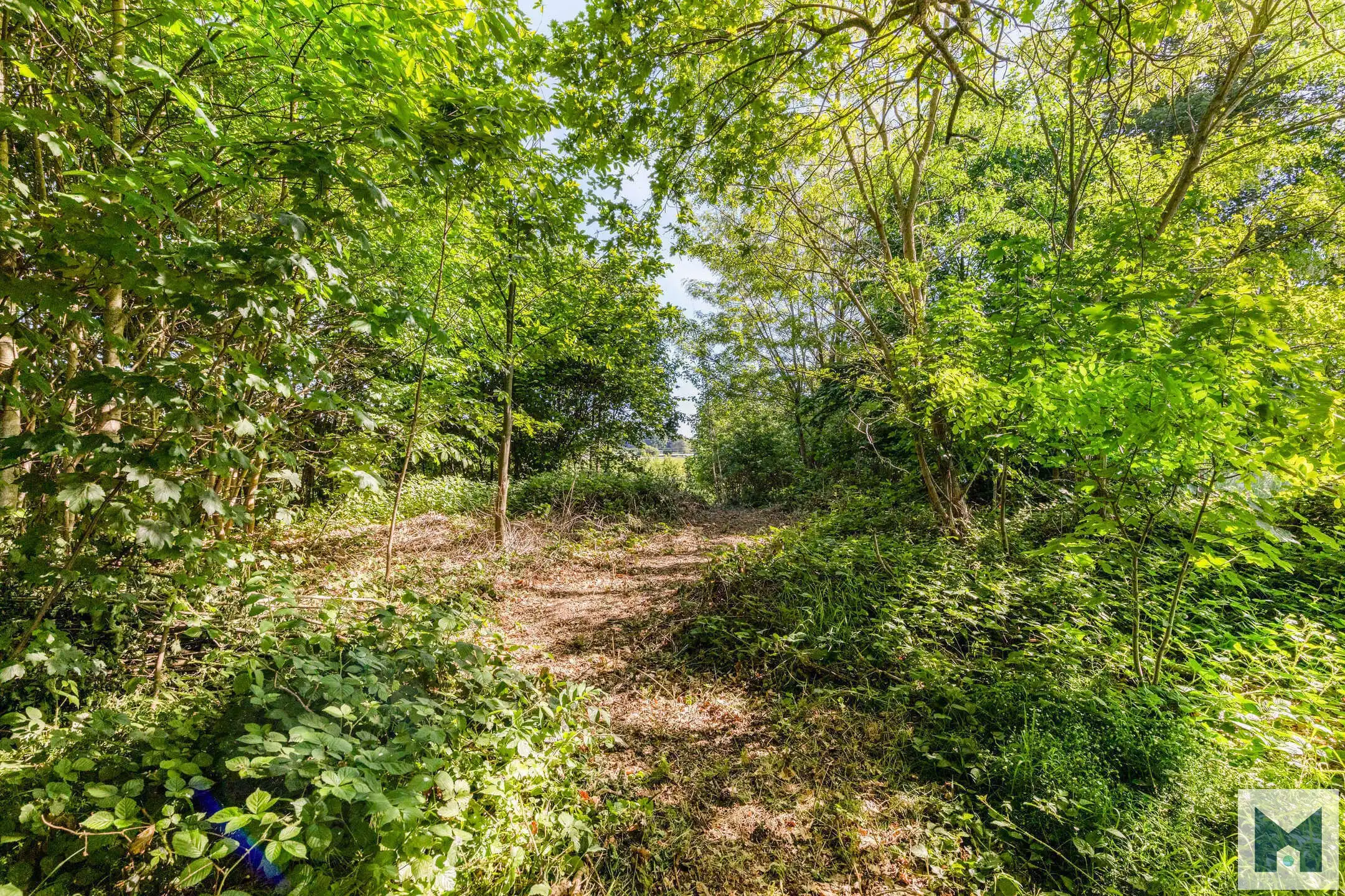 Prachtig perceel met mogelijkheid om te bouwen te Malderen! foto 5