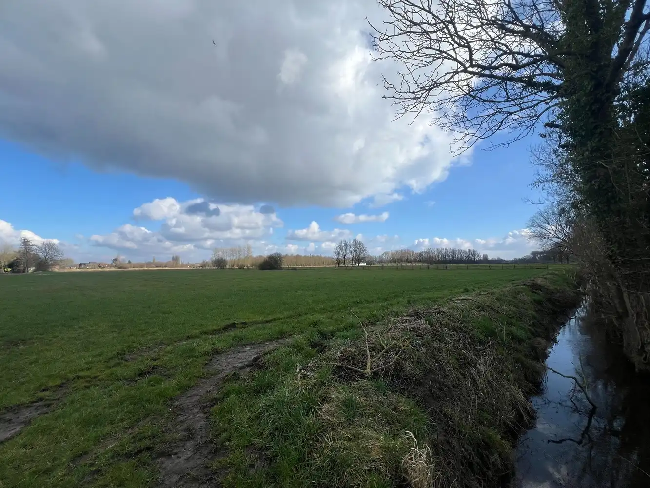 Landbouwgrond te Duffel foto 3