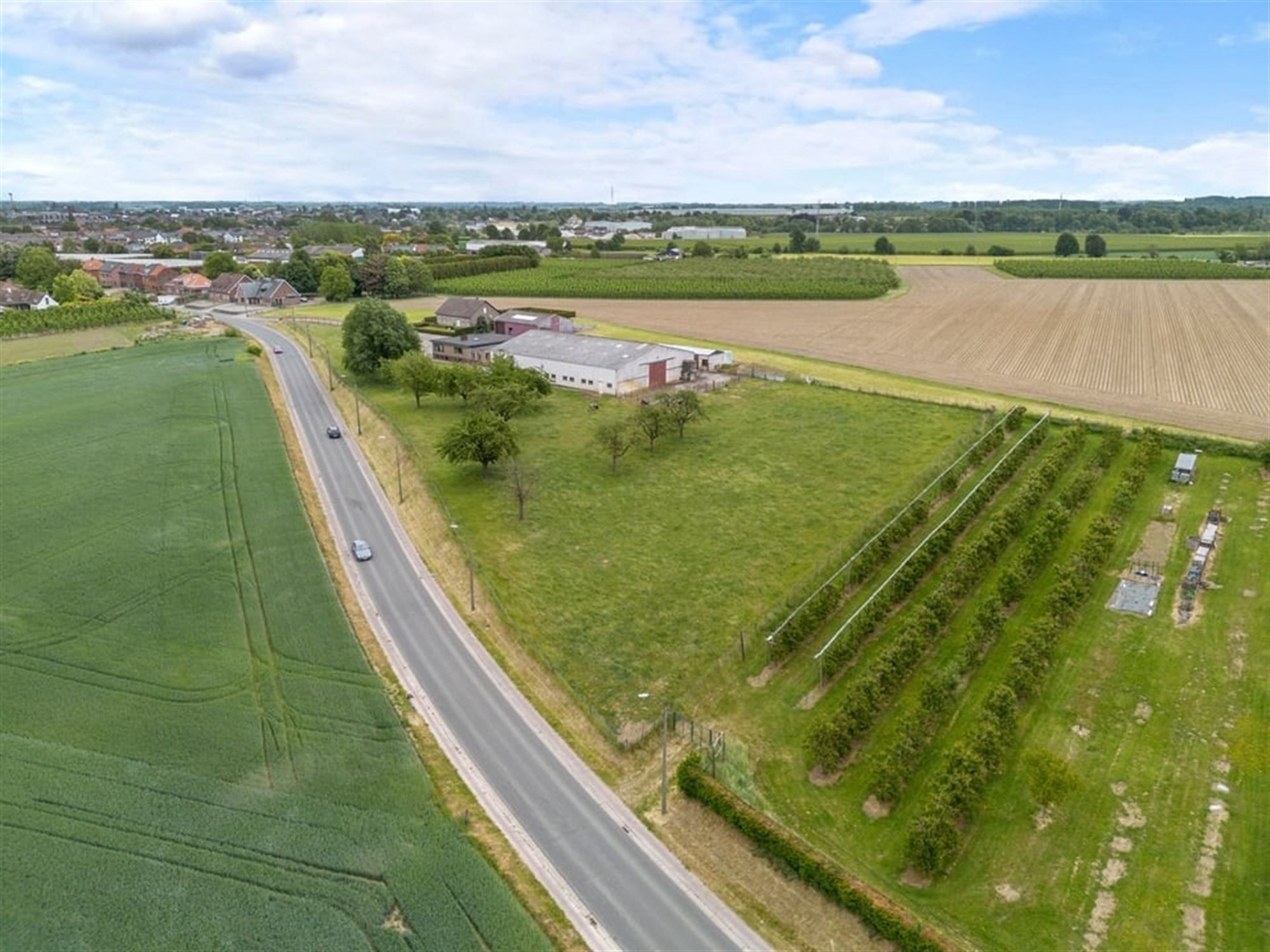 RUIME GEZINSWONING MET LOODS EN WEIDE OP 1,1 HECTARE IN HET LANDELIJKE SINT-TRUIDEN foto 3