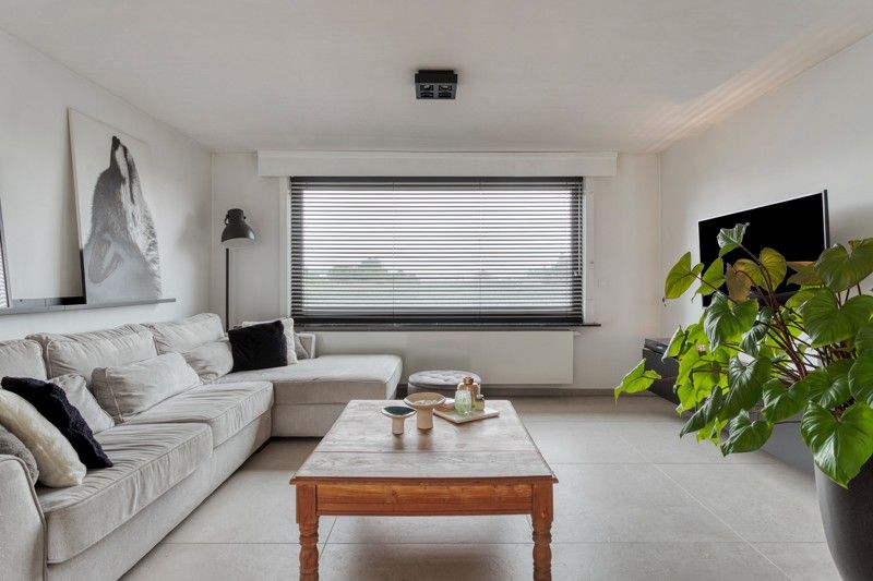 🏡 Gezellige alleenstaande woning met zonnige tuin TE KOOP in Wielsbeke! foto 3