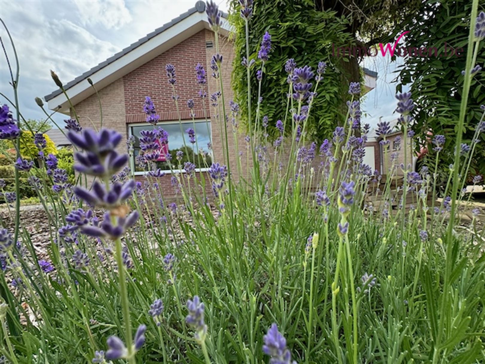 ImmoWonen verkocht net te Groot Leuven : Haasrode  foto 66