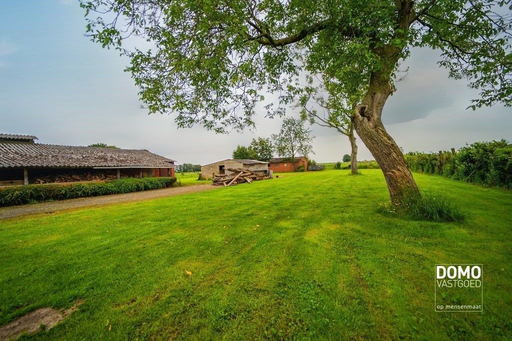 Ruime woning met stallingen en een prachtig groen uitzicht. foto 33