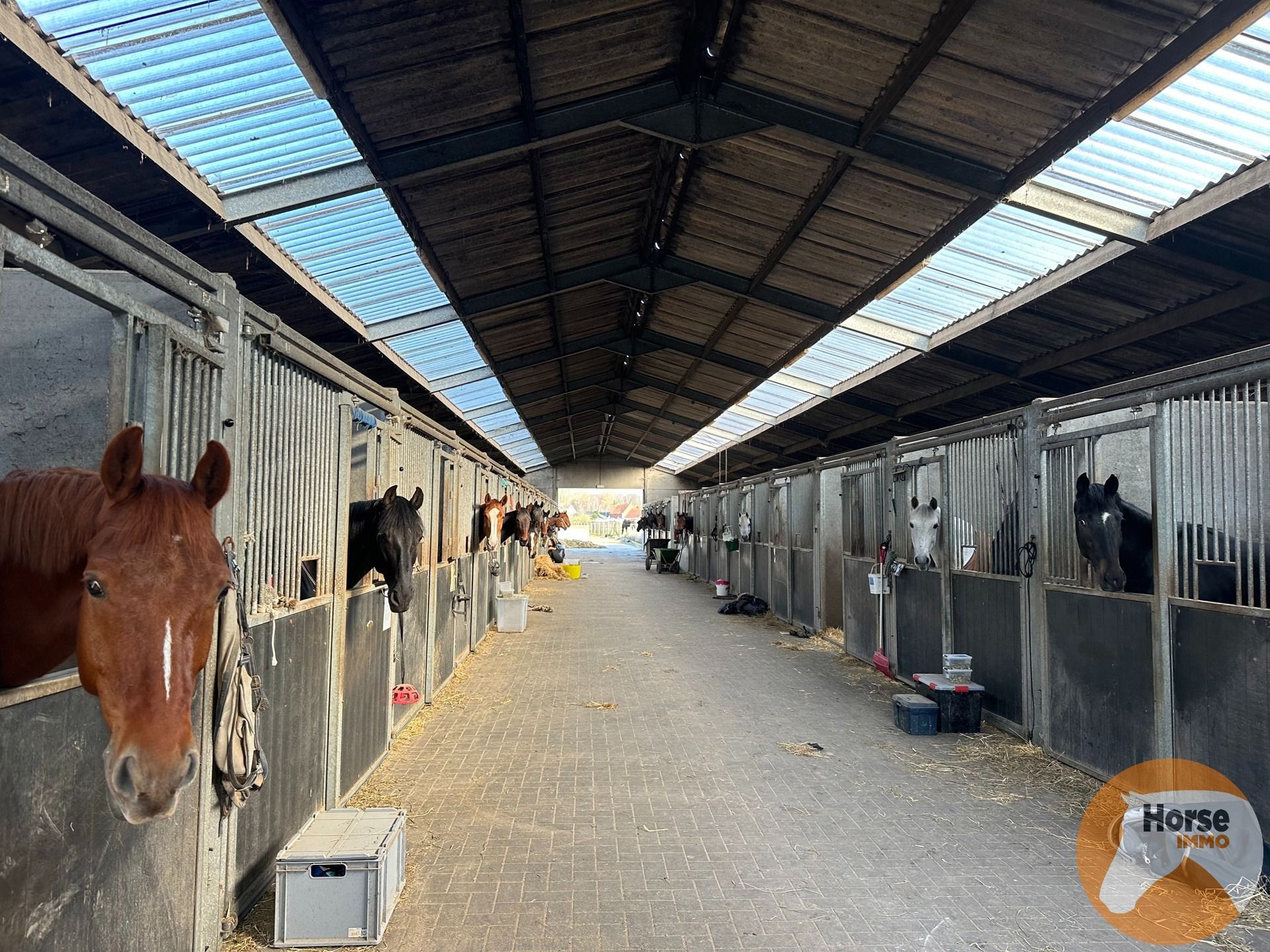 KAMPENHOUT - Professionele paardenaccommodatie op 4ha28 foto 4