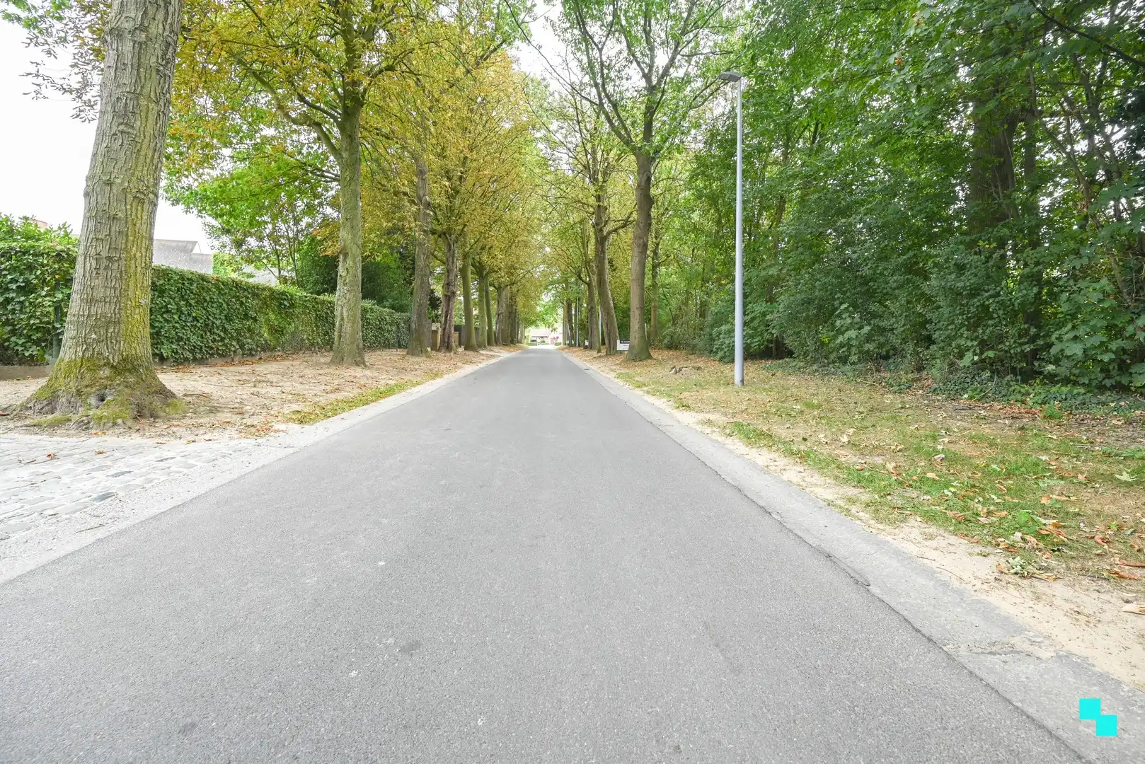 Exclusieve bouwgronden in residentiële laan te Wielsbeke foto 12