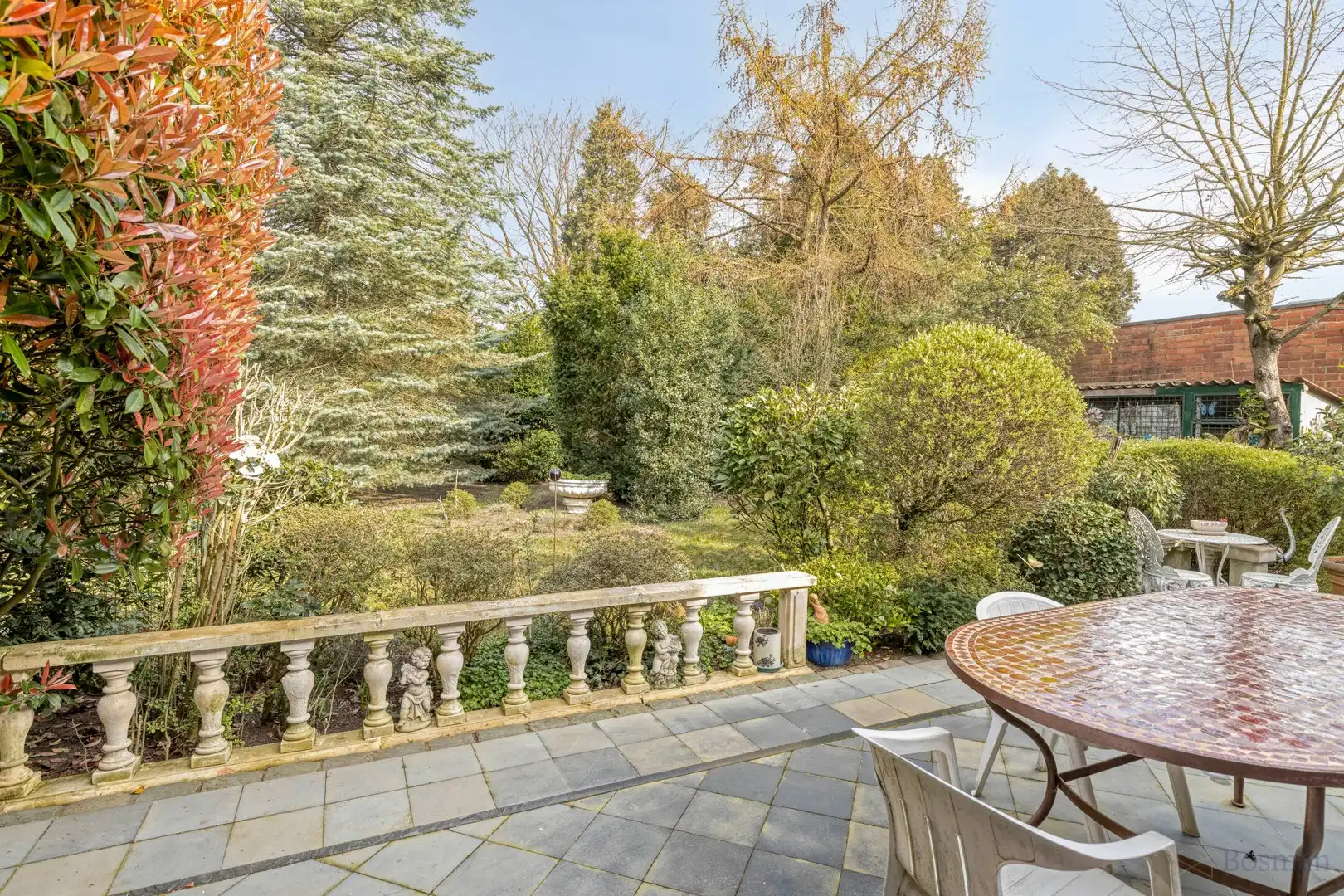 Projectgrond met woning te koop in Schoot, Tessenderlo foto 7