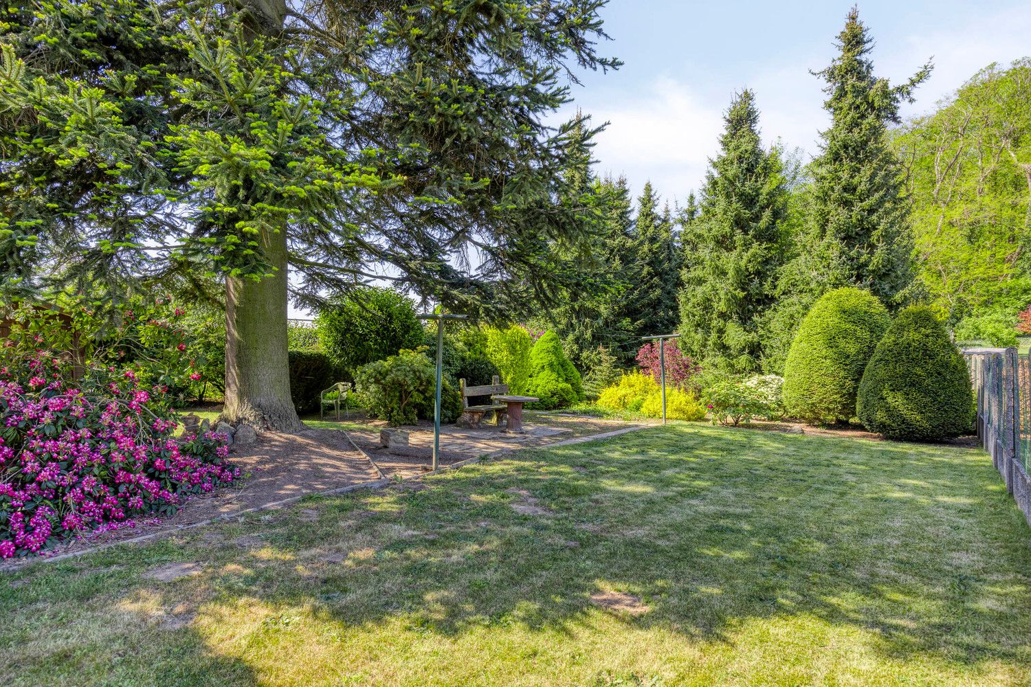 CHARMANTE OPEN BEBOUWING OP 16A 17CA MET PRACHTIGE TUIN EN DENNENBOS foto 38