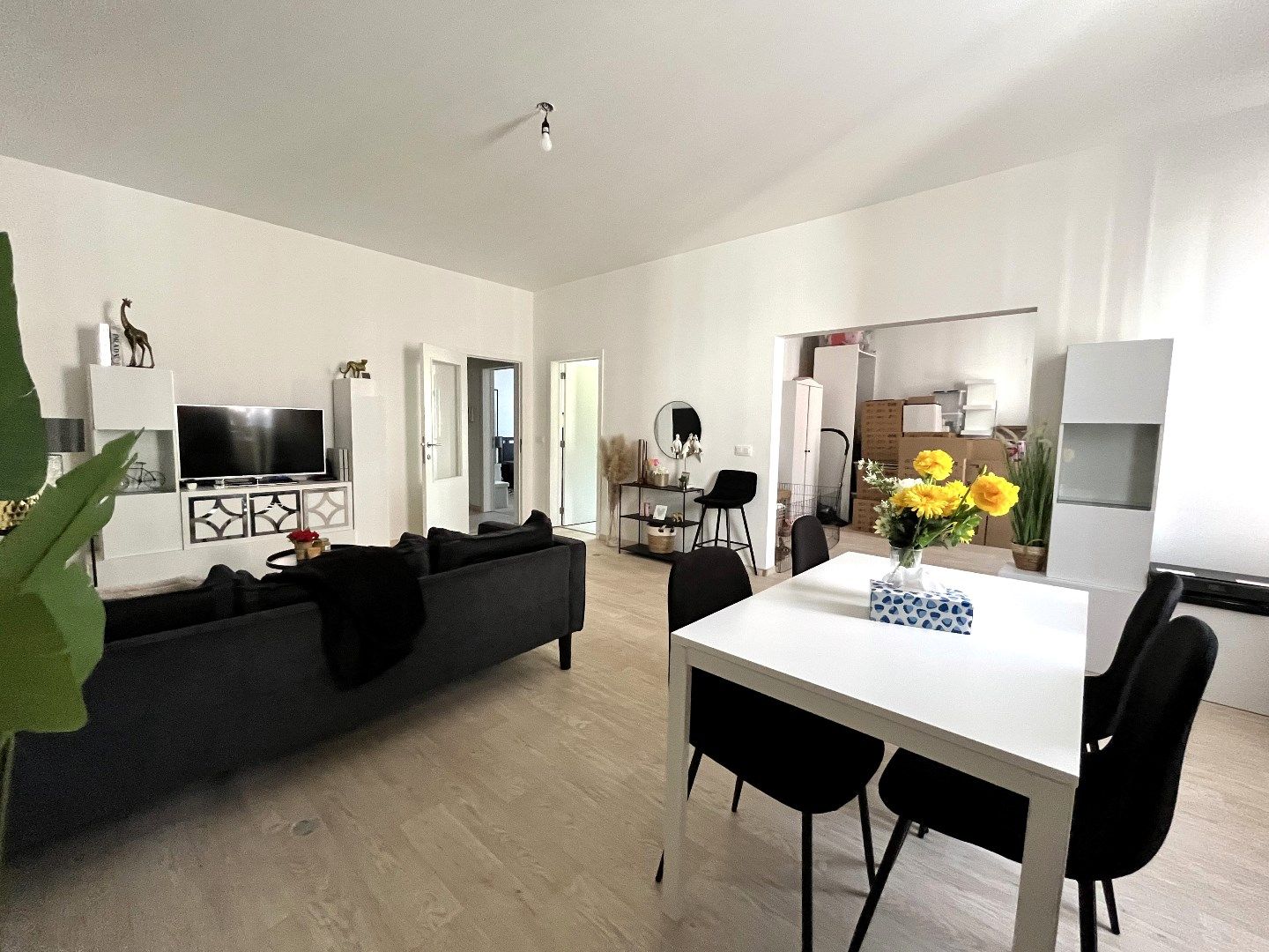 Hedendaags 1-slp appartement te Mortsel foto 4