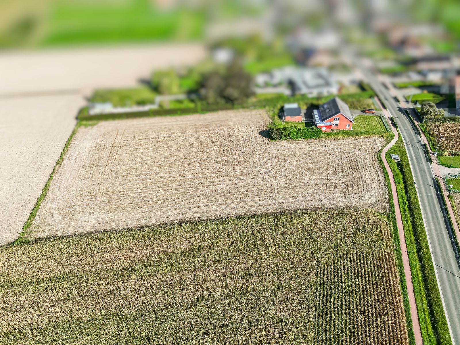 Te renoveren woning op prachtig perceel van 7157 m² te Londerzeel foto 3