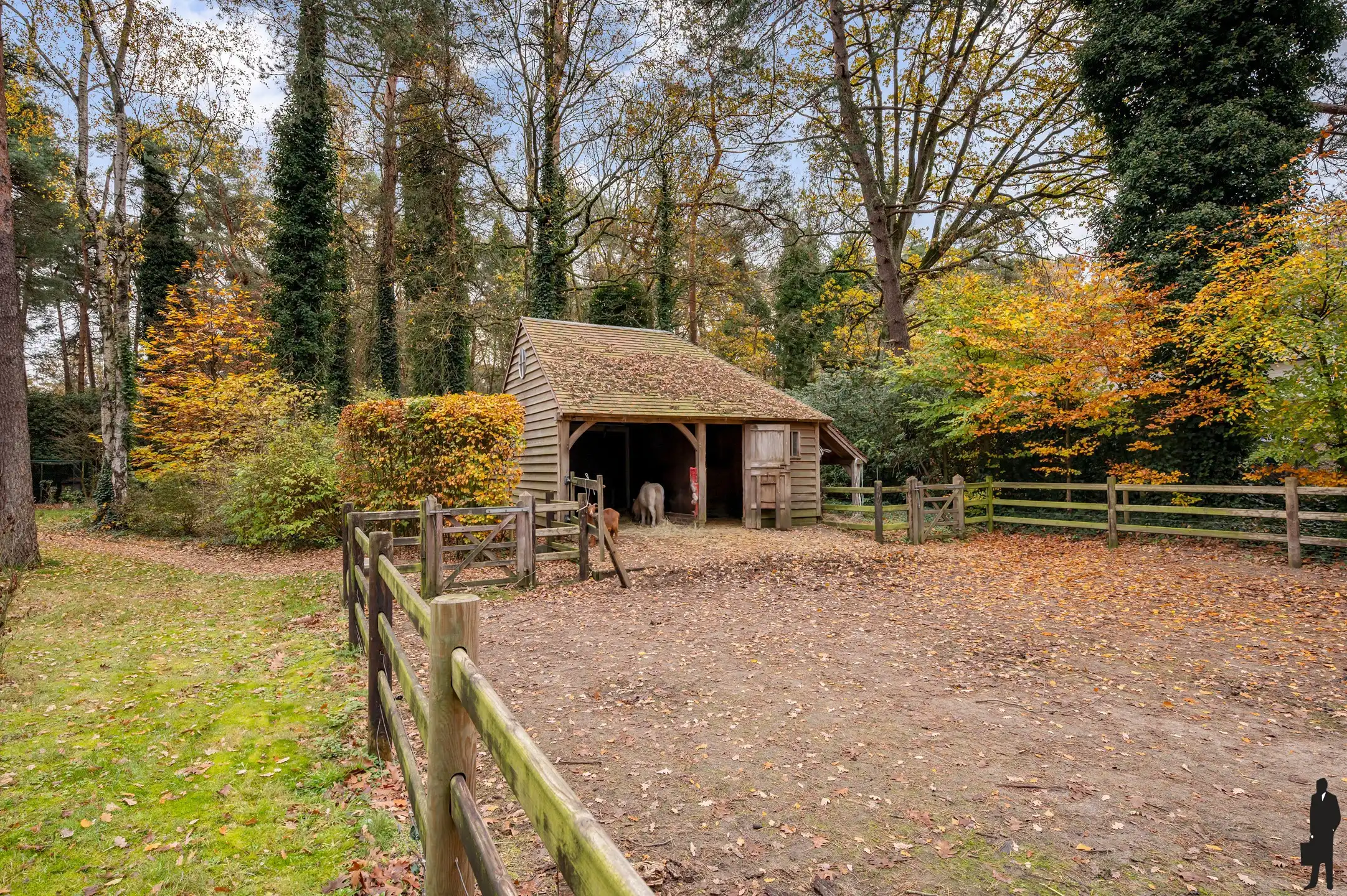 Topgelegen villa met zwembad en paddock!  foto 36