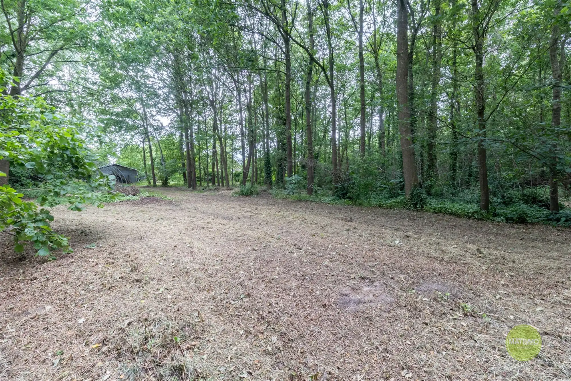 Gezinswoning met 4 slaapkamers op een perceel van 4.530 m² foto 28