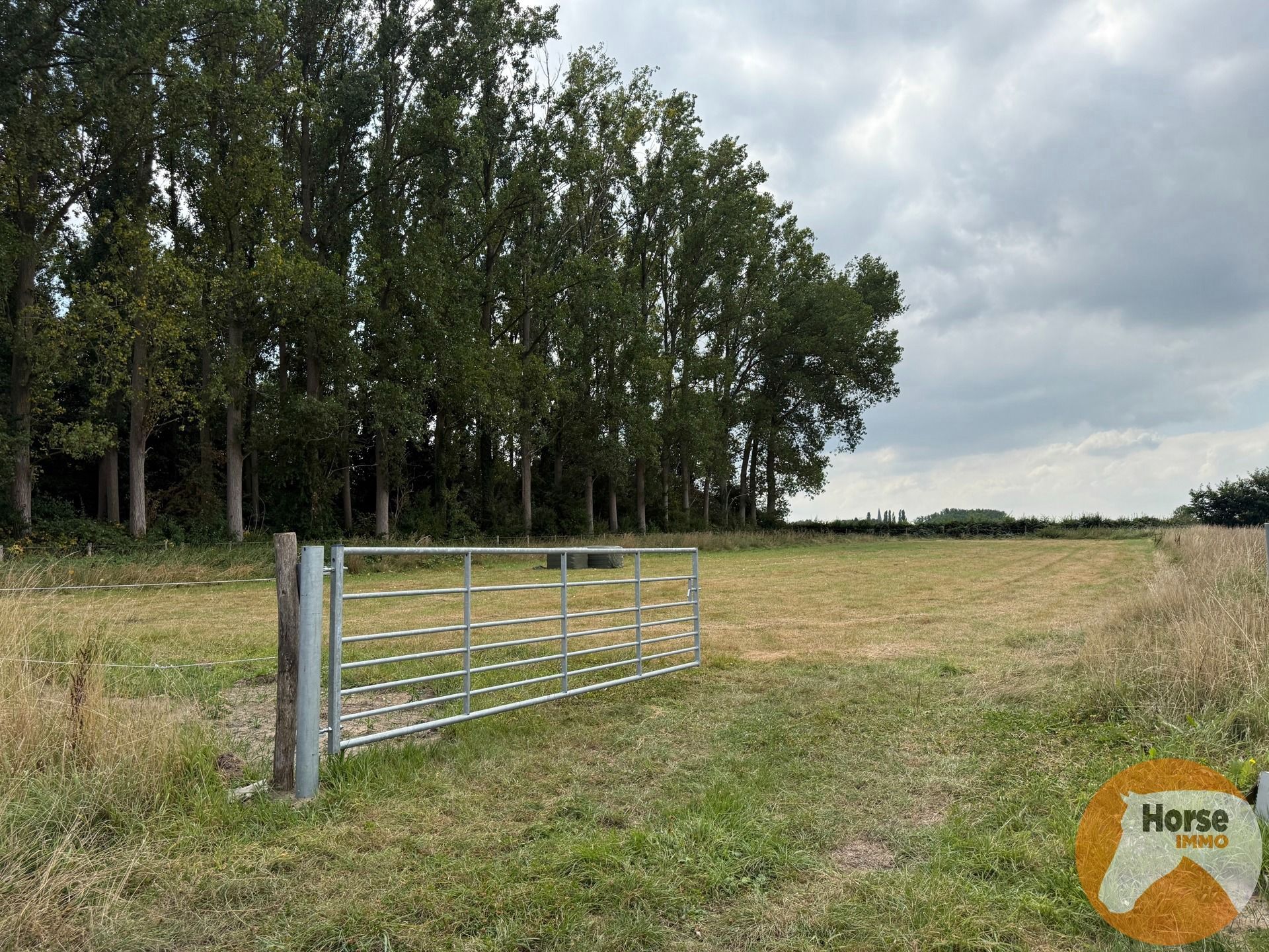 ROOSDAAL - Goed bereikbare weide op +- 1ha7a foto 3