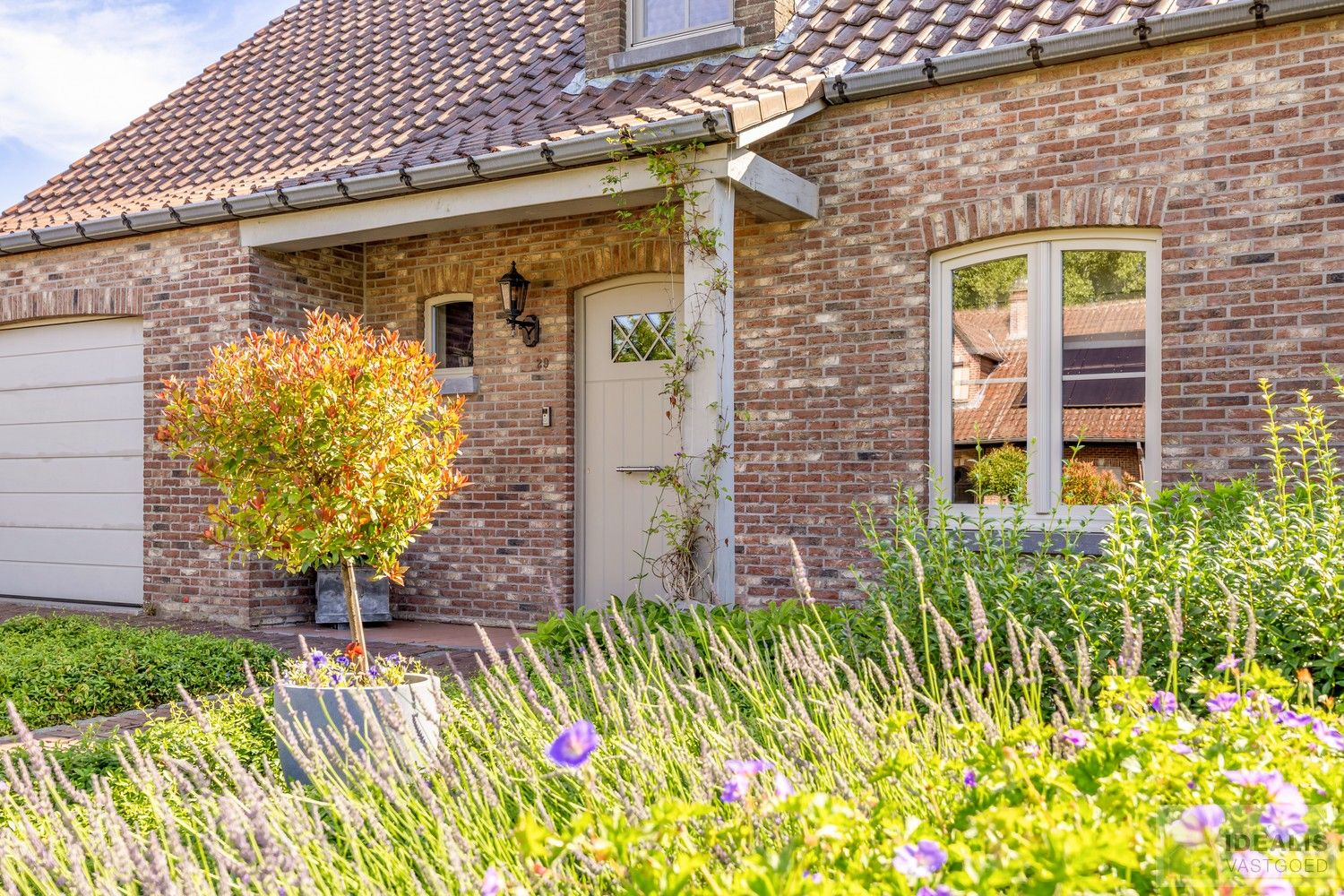 RUIME EN PERFECT ONDERHOUDEN EENGEZINSWONING OP RUSTIGE LOCATIE MET PRACHTIG AANGELEGDE TUIN (6A60CA) NABIJ CENTRUM PELT foto 3