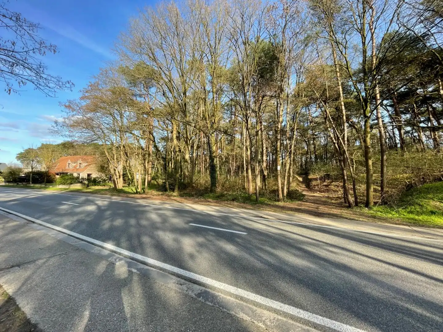 EXCLUSIEF PRIVÉ BOS VAN 2,7 HECTARE – MOL (DE ROOY) foto 2