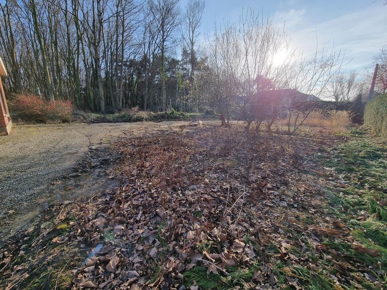 Zuidgerichte bouwgrond nabij centrum Putte voor een vrijstaande woning foto {{pictureIndex}}