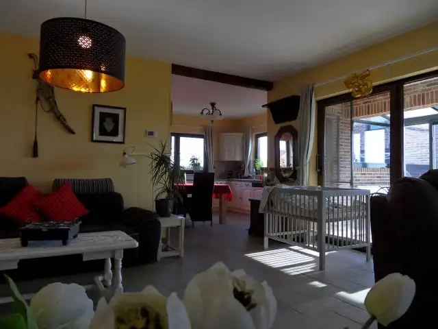 Villa-Landhuis met 4 slpkrs, bureel, 2 garages op 12 are foto 15