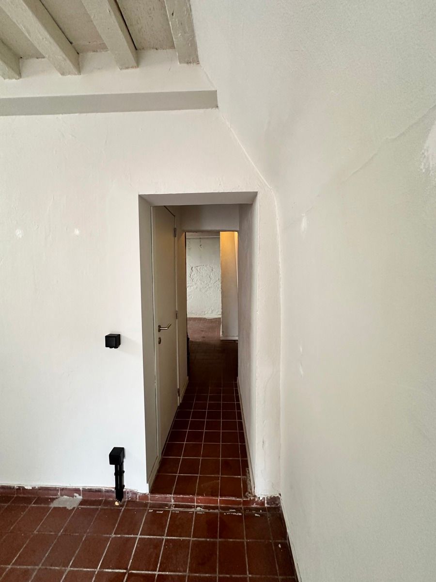 Commercieel hoekpand in hart van Antwerpse studentenbuurt foto 6