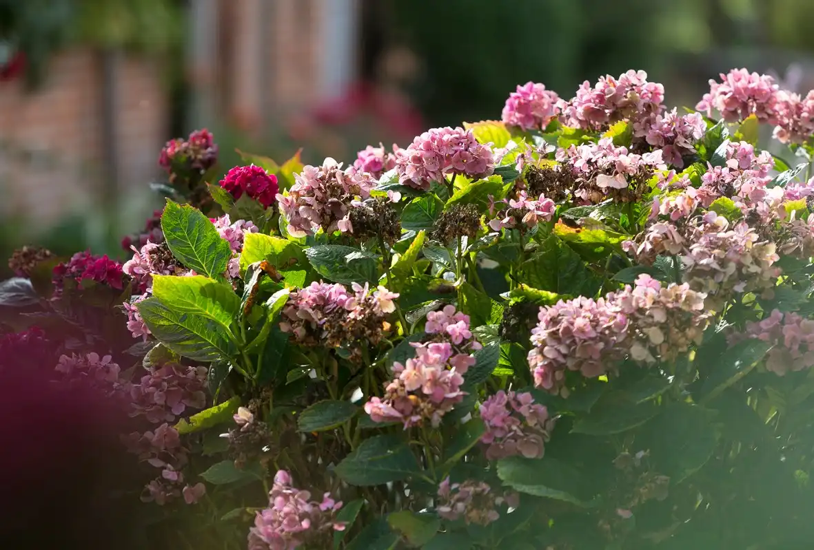 Instapklare hoeve met feestzaal en horeca vergunning foto 24