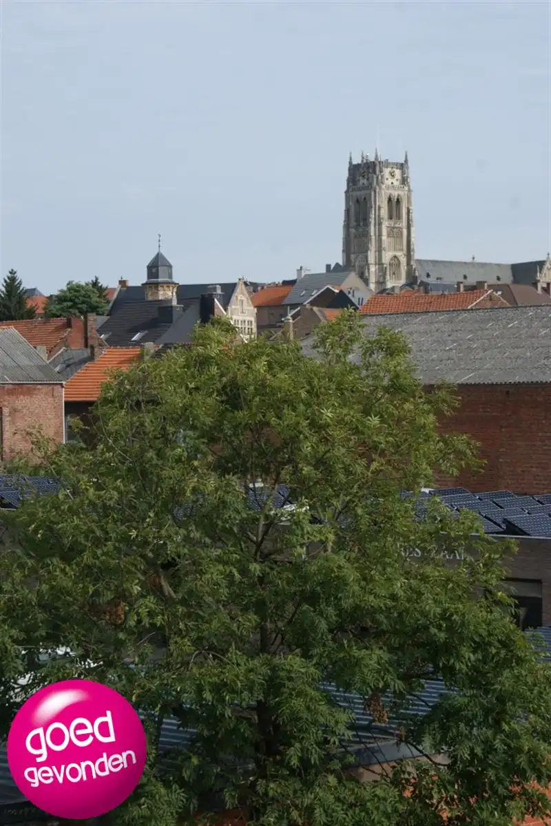 APP - 2 SLK - TERRAS - PARKING - CENTRUM foto 17