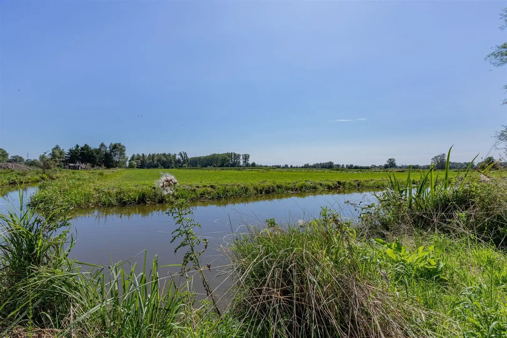Exclusieve bouwgrond te koop Sint-Onolfsdijk, Dendermonde foto 4
