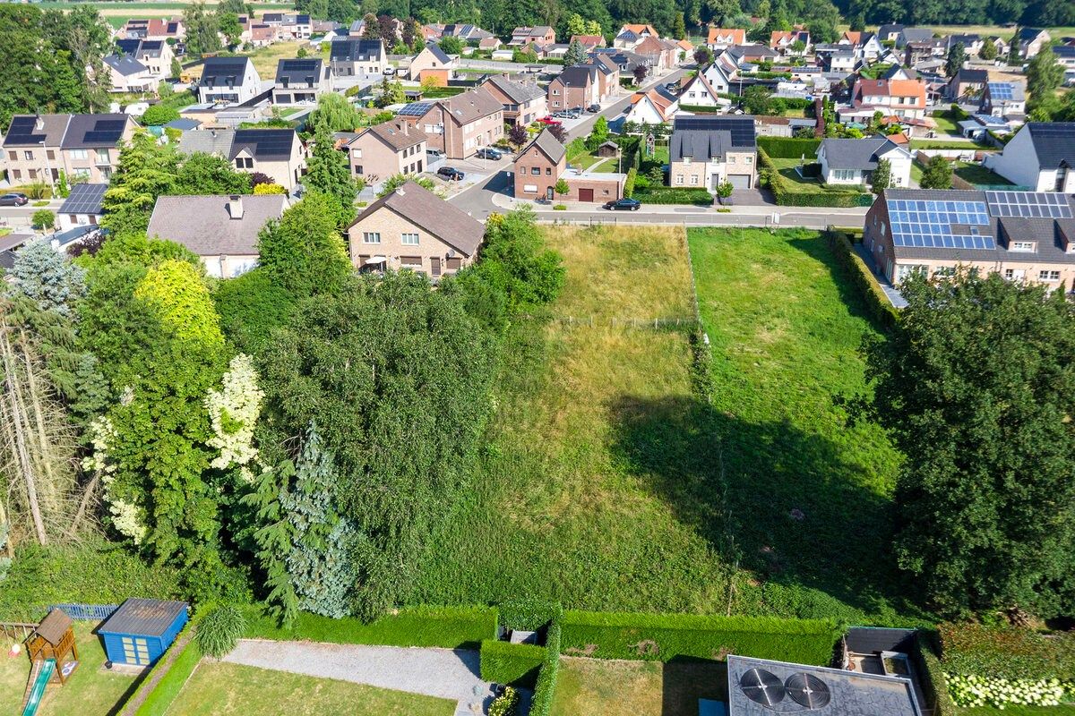 BOUWKAVEL VAN 1.463 m² OP DE WIJNGAARDSTRAAT TE LANAKEN!  foto 4