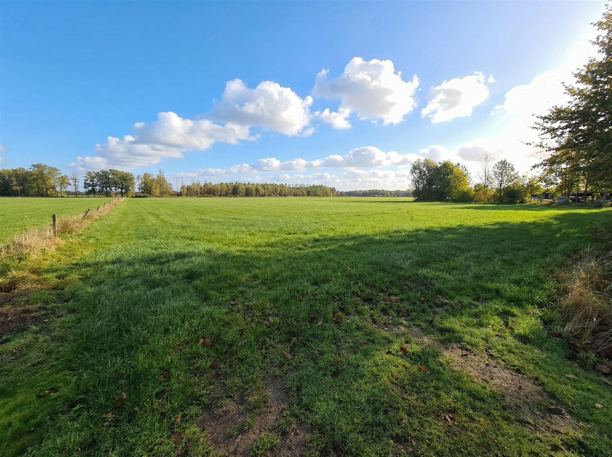 Top gelegen bouwperceel van 1000m²  foto 7