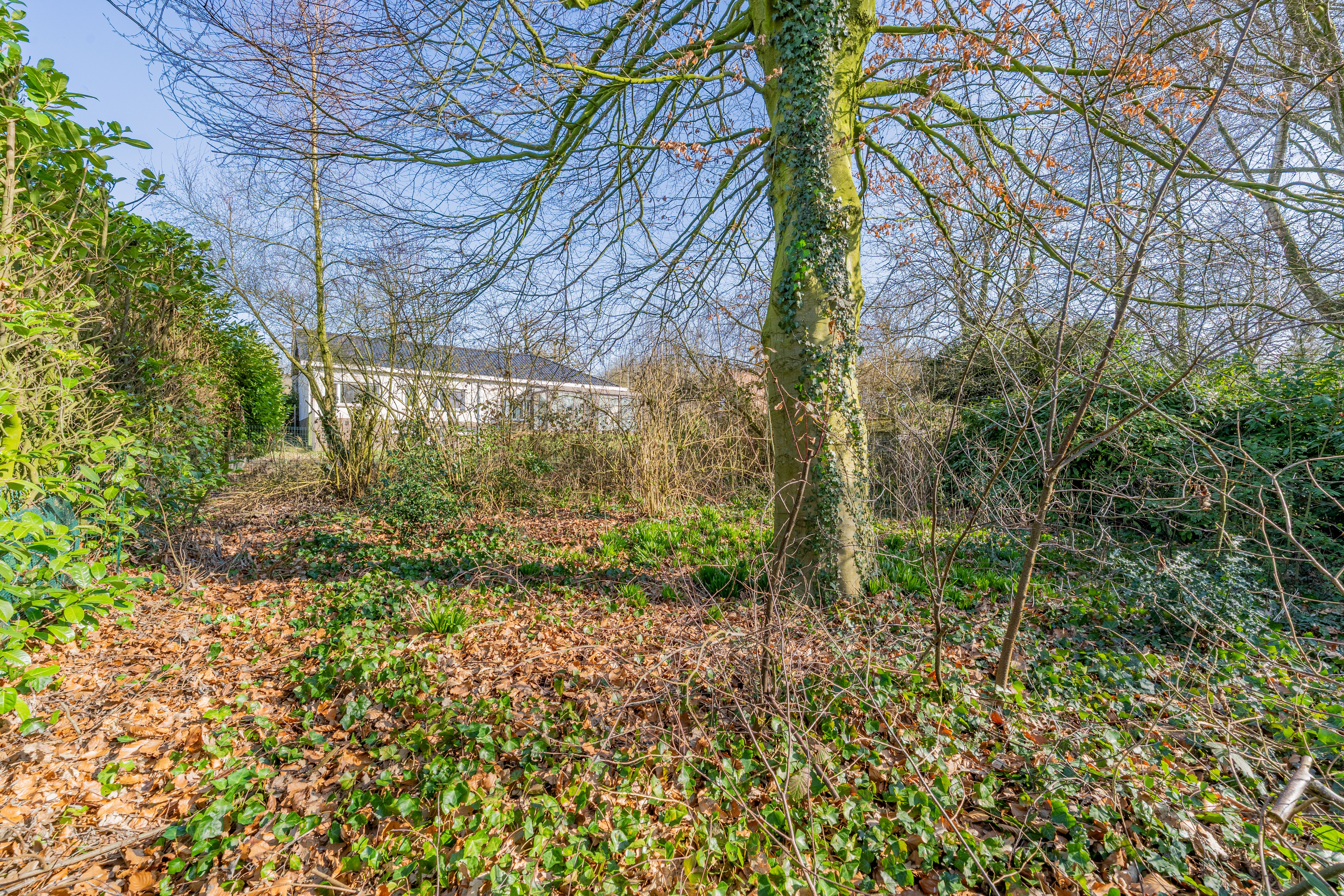 Ruime woning op een perceel van 2.200 m2 foto 14