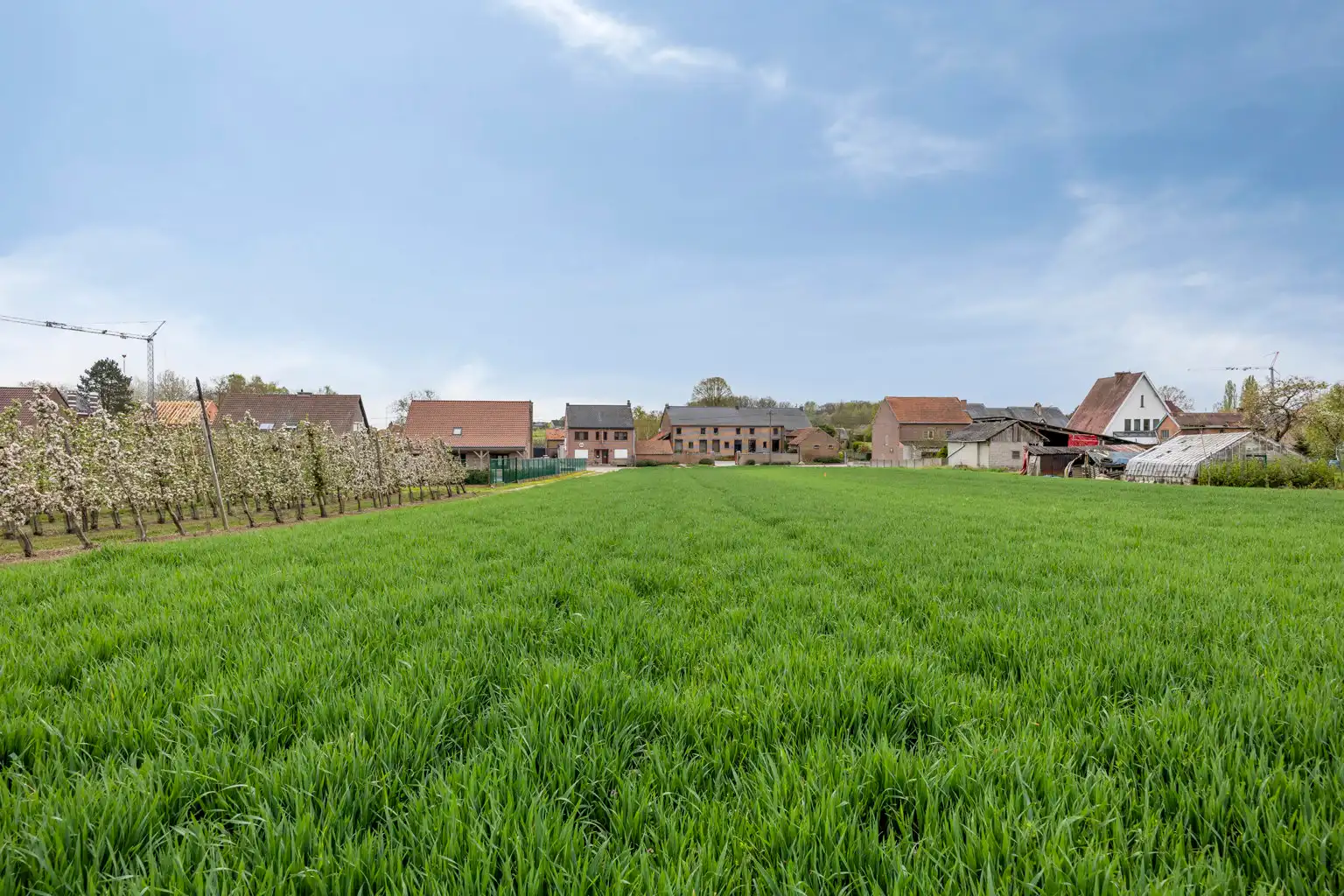 MOOI GELEGEN BOUWGRONDEN IN GLABBEEK (LOT2) foto 4