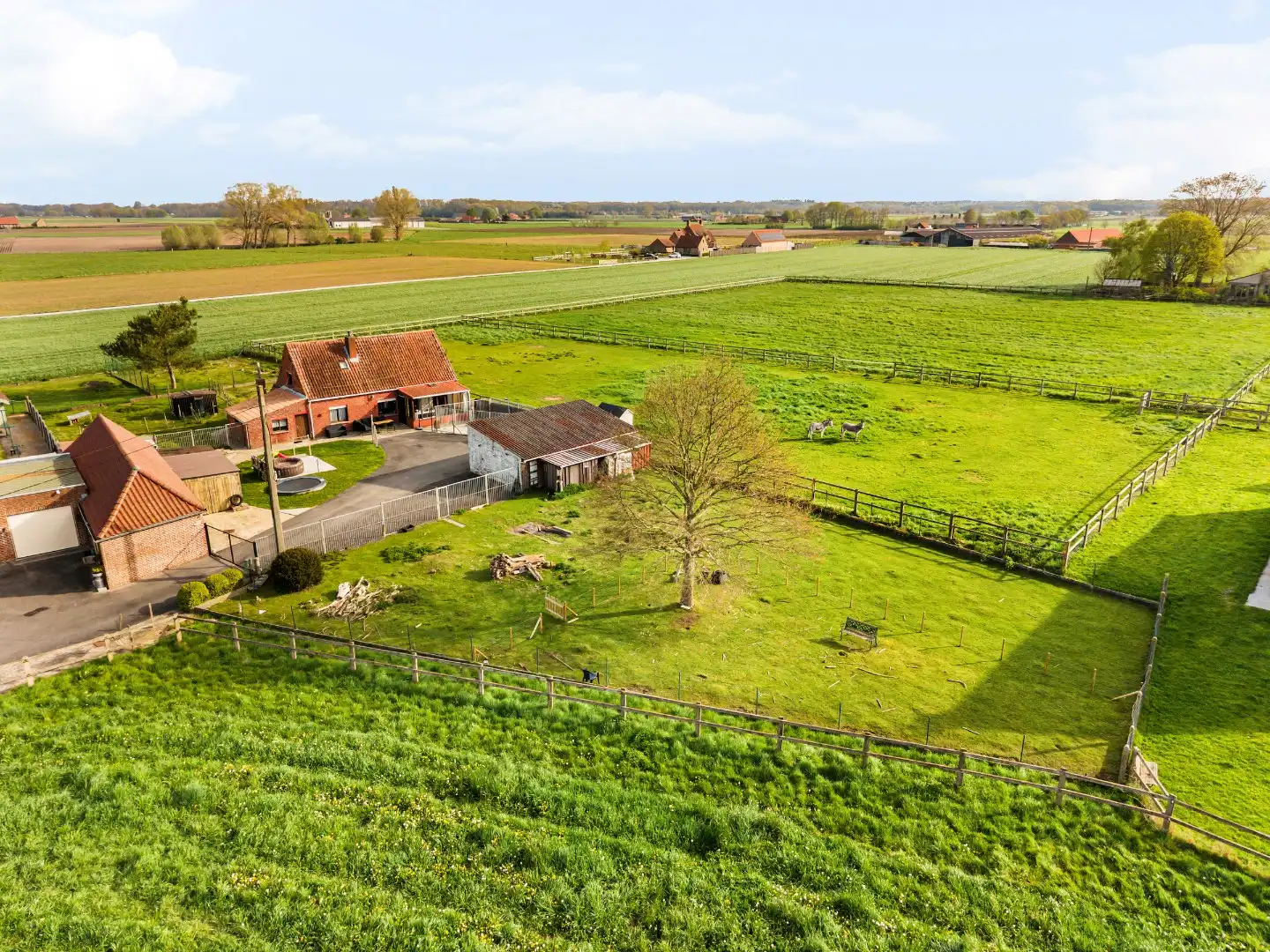 Hoofdfoto van de publicatie: Open woning met 3 slaapkamers, dubbele garage en prachtig landelijk zicht in Wingene