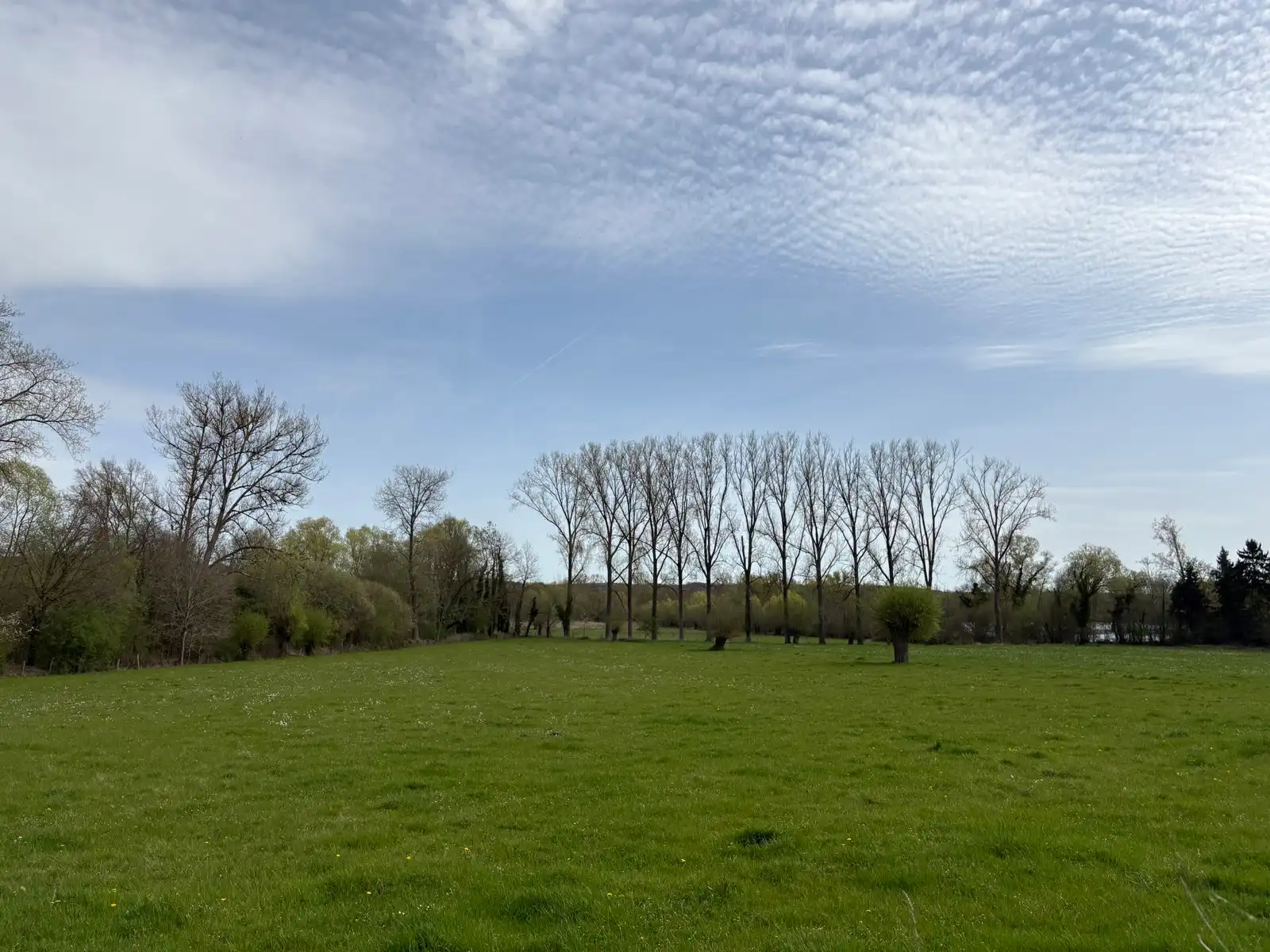 Huis te huur foto 30