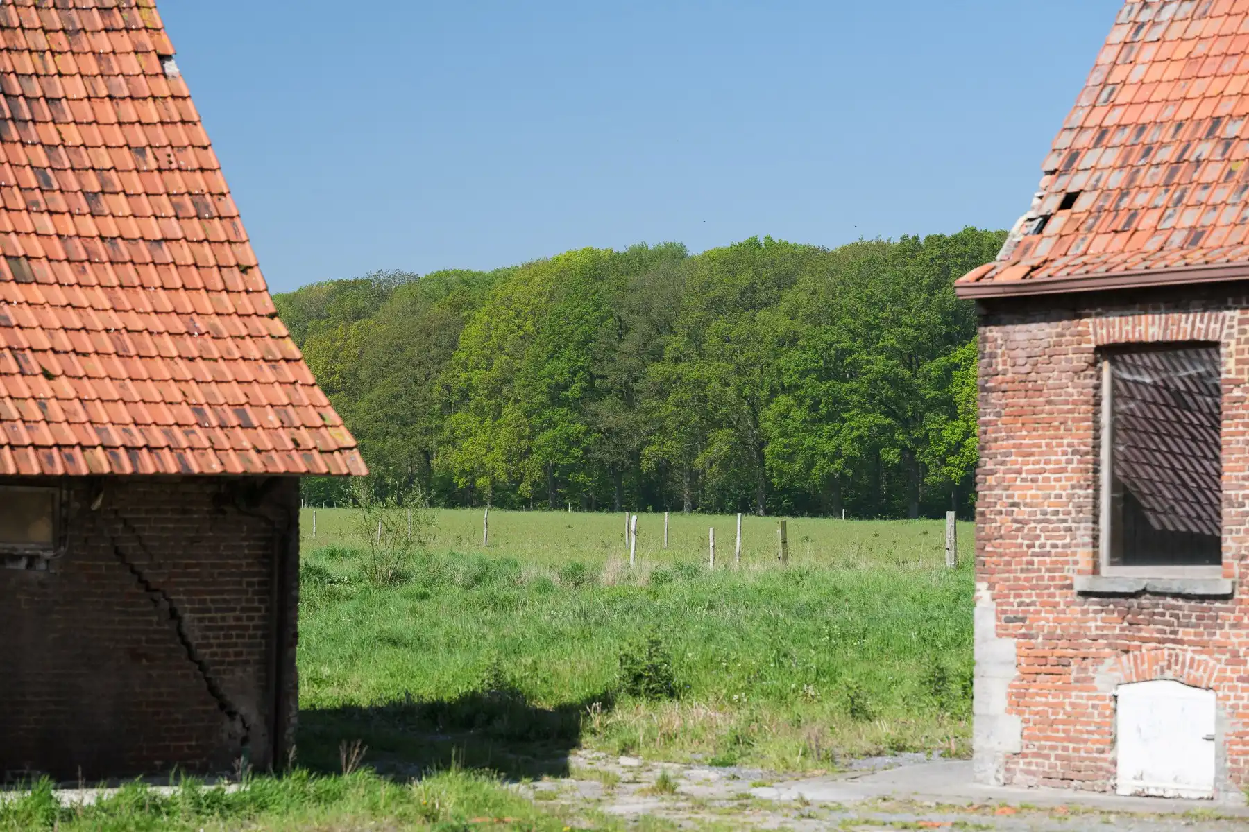 Een hectare groen, klaar voor jouw toekomst (zonevreemd!) foto 7
