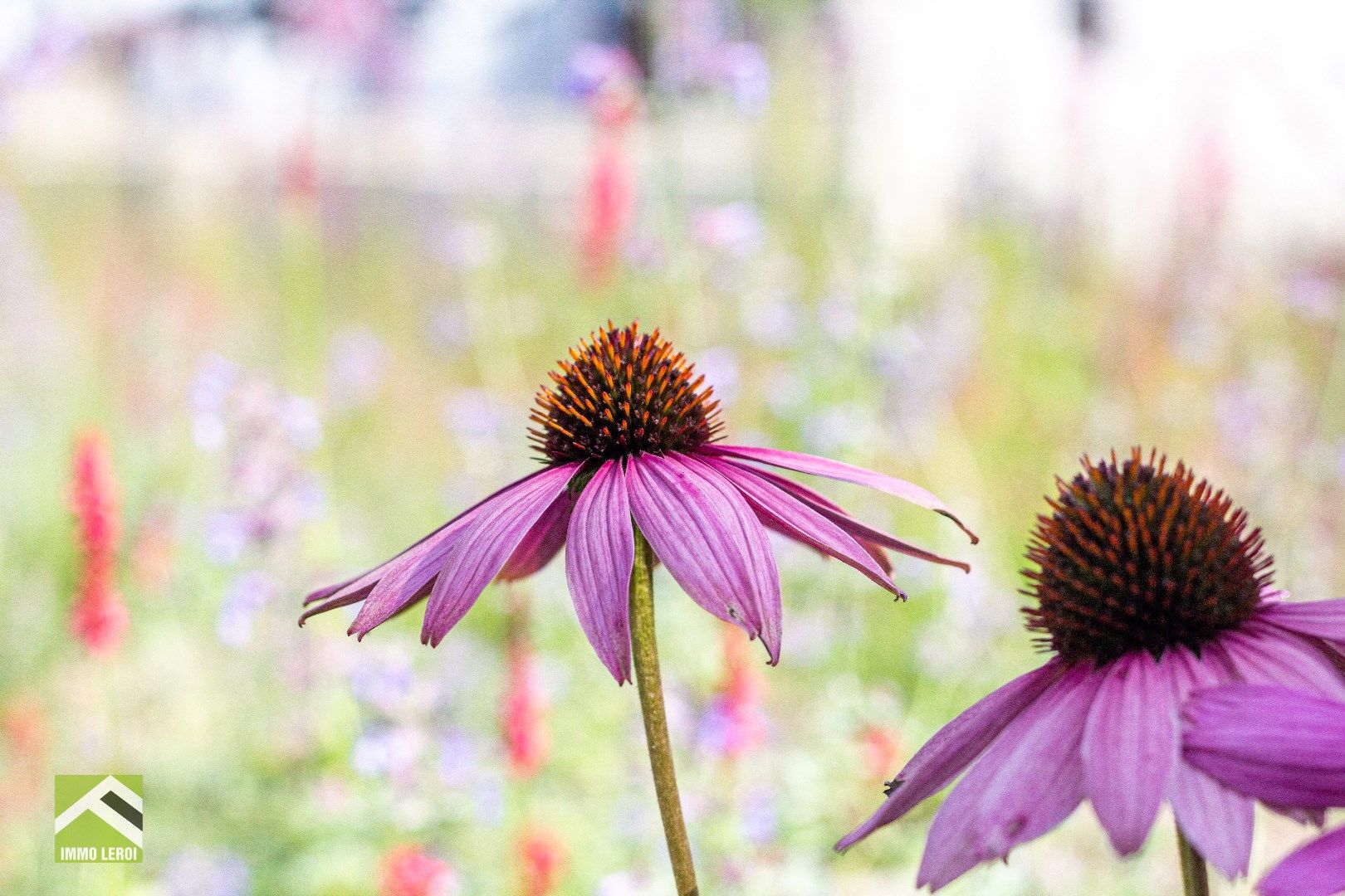 INSTAPKLAAR APPARTEMENT MET 3 SLAAPKAMERS EN GROOT TERRAS - 6% BTW mogelijk! foto 19