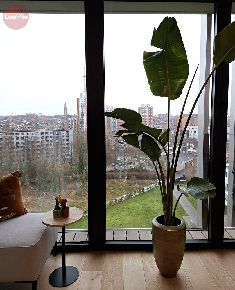 Nieuwbouw luxe appartment met autotaanplaats en fietsenberging foto 10