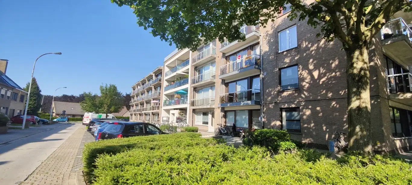 BRUGGE foto {{pictureIndex}}