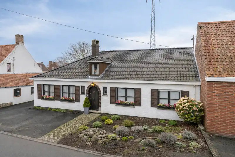 Bijzonder ruime woning met garage voor 3 wagens en ateliermogelijkheden foto {{pictureIndex}}