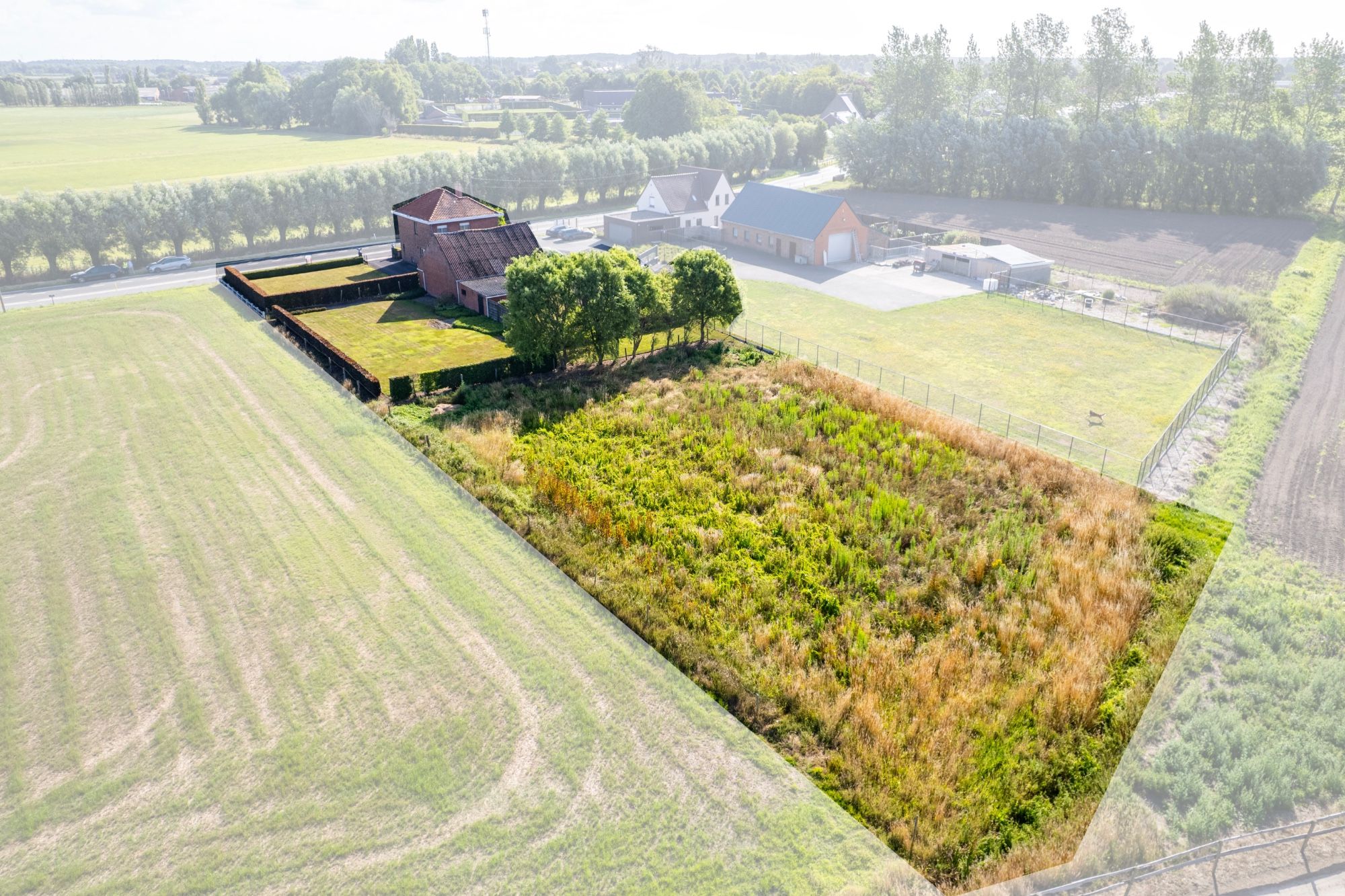 LANDELIJK GELEGEN WONING met SCHUUR & WEILAND op  3173 m² foto 2