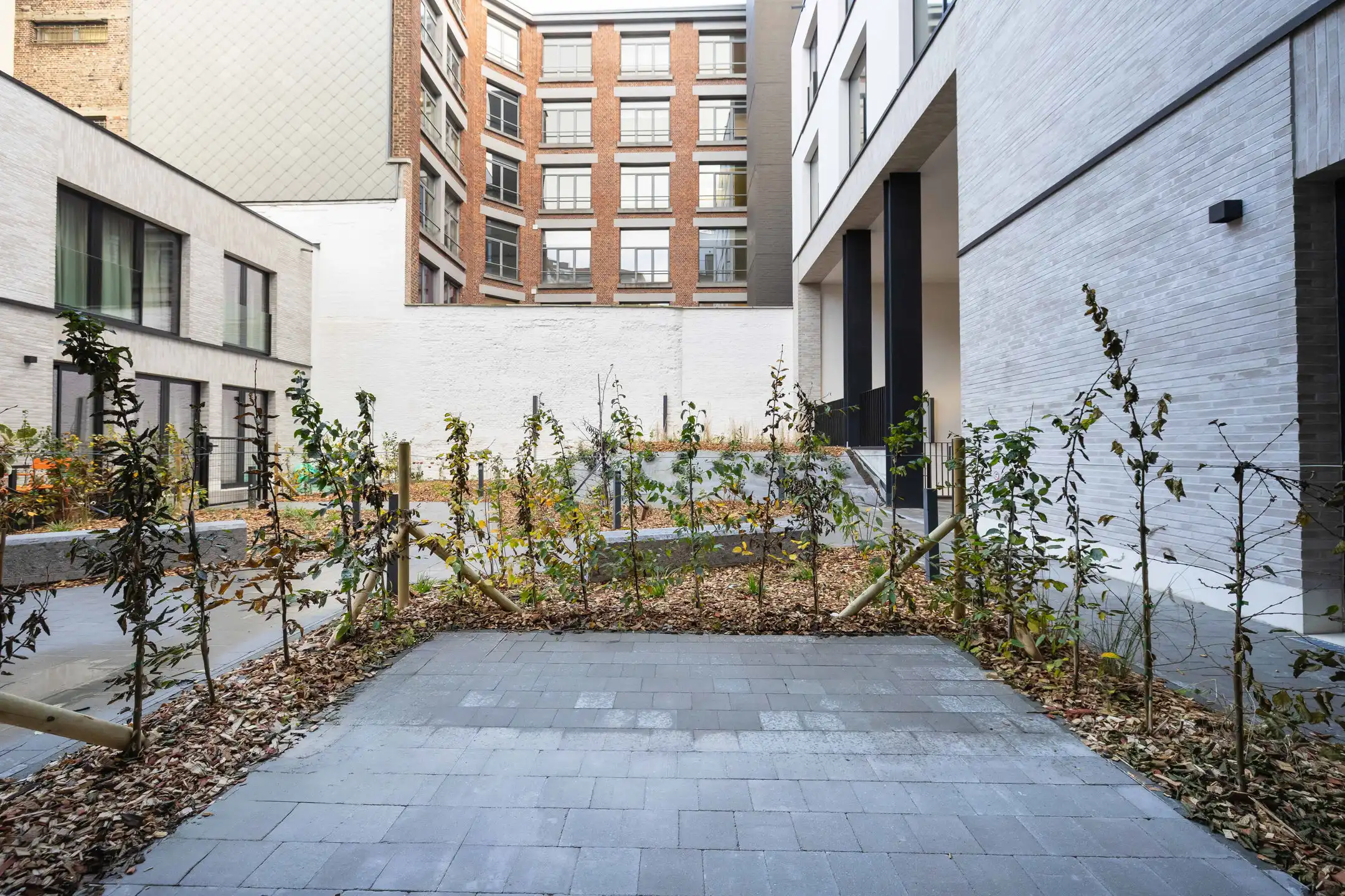 LAATSTE KANSEN ! foto 13