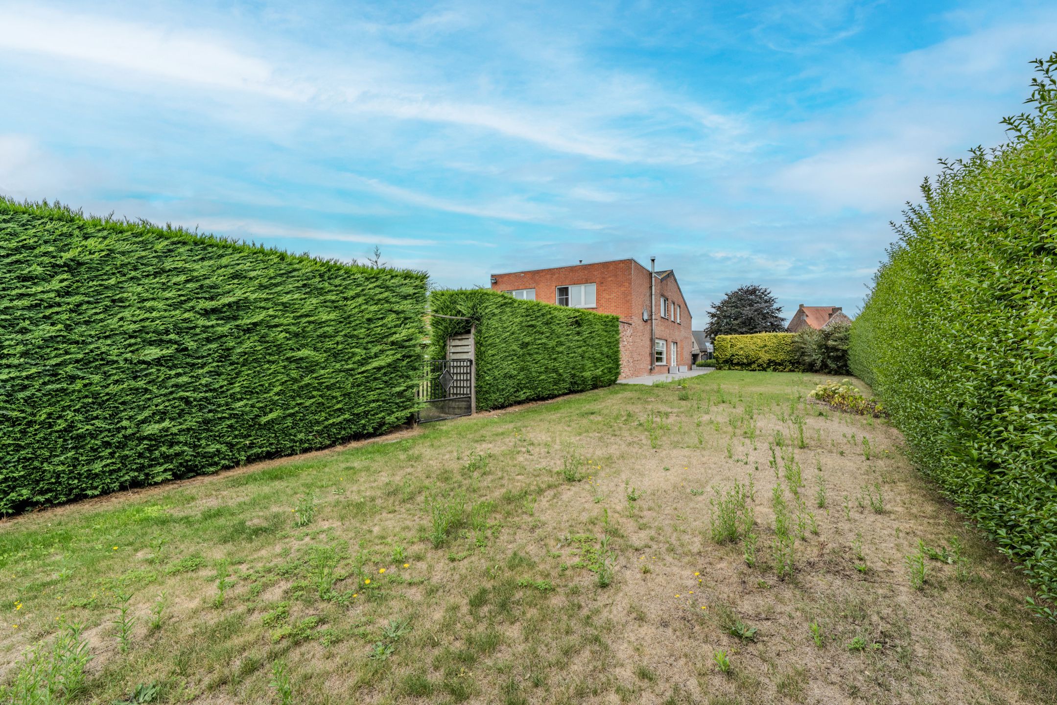 LOODS, BUREAU, WONING, OUDE HOEVE & BOUWGROND! foto 38